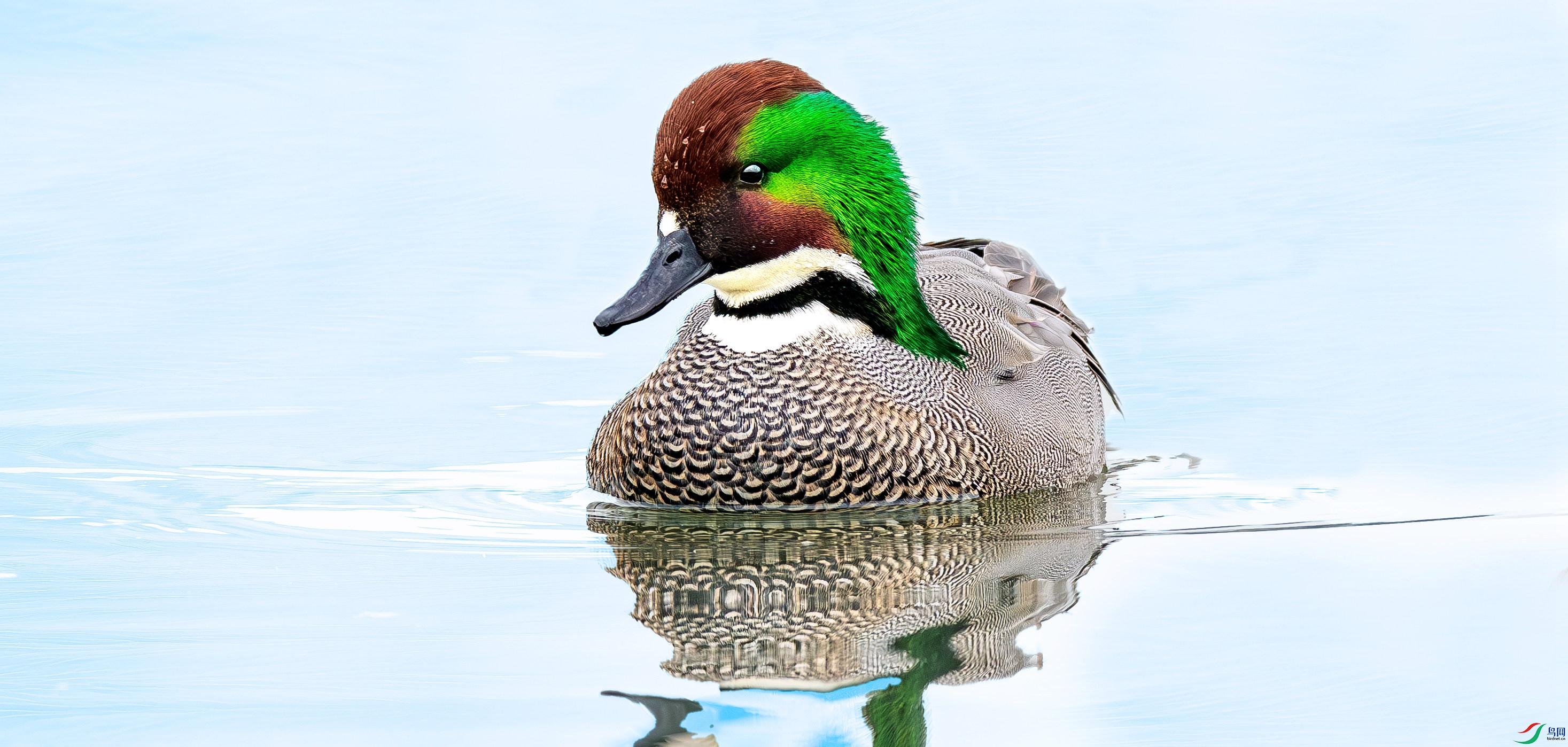 AAB_8969_����.jpg