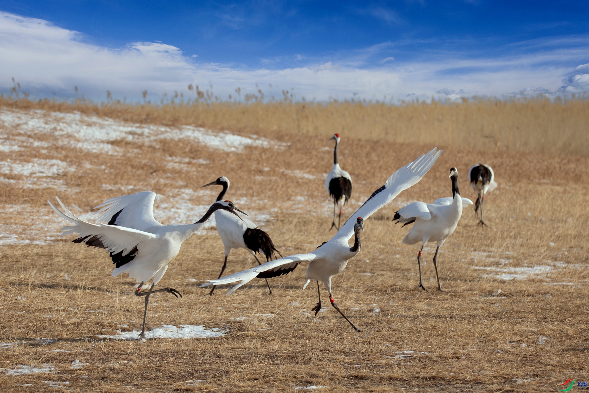 073A9526 _����.jpg