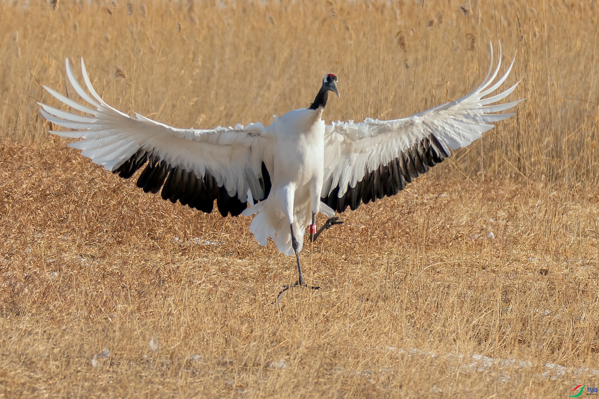 073A9444 _����.jpg