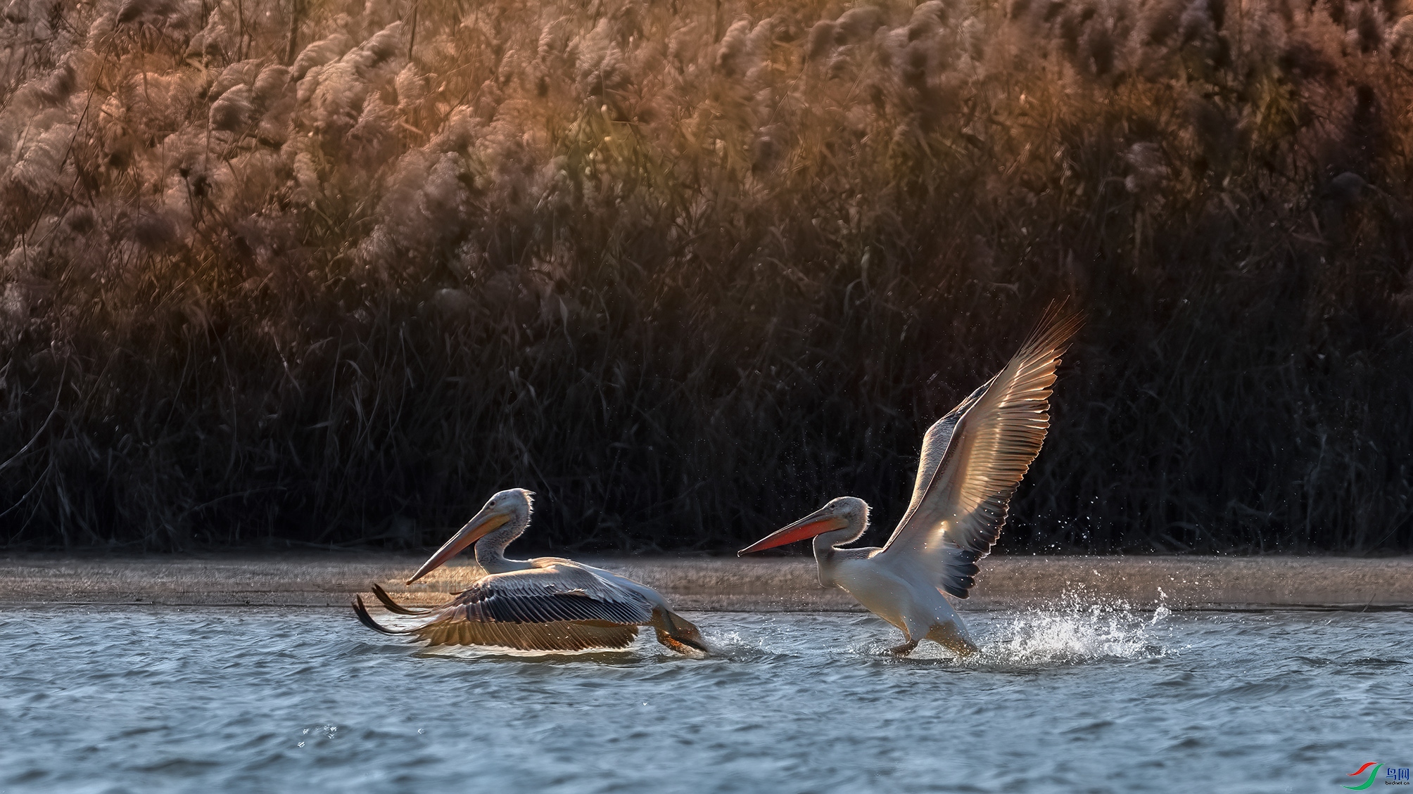 DSC09292 ���� 2.jpg