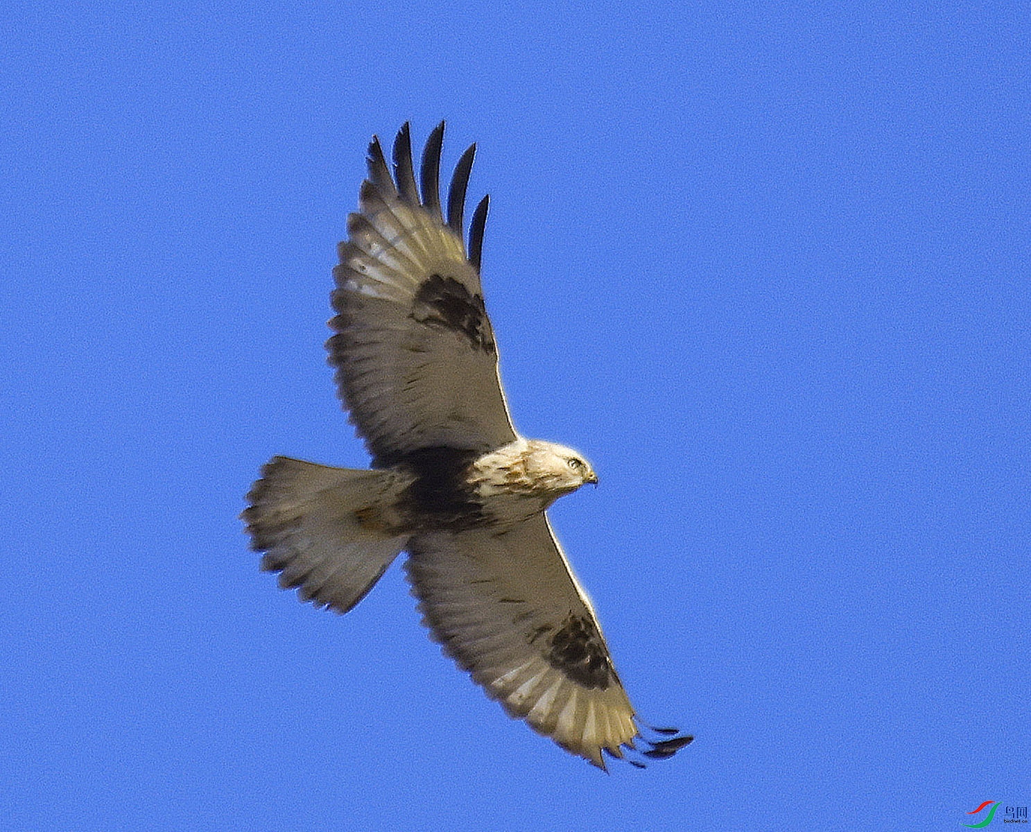 ë��������ǳɣ