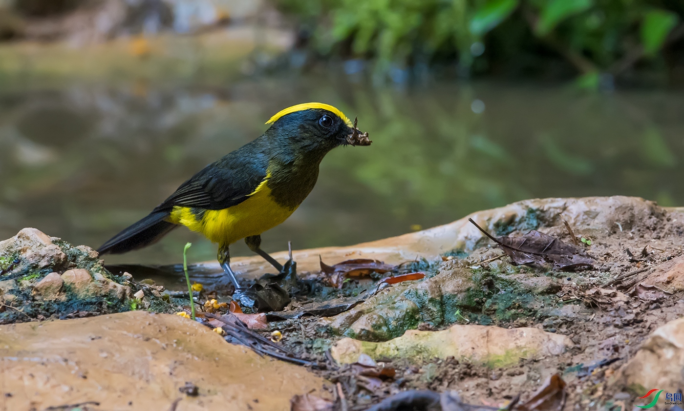 DSC_70211.jpg