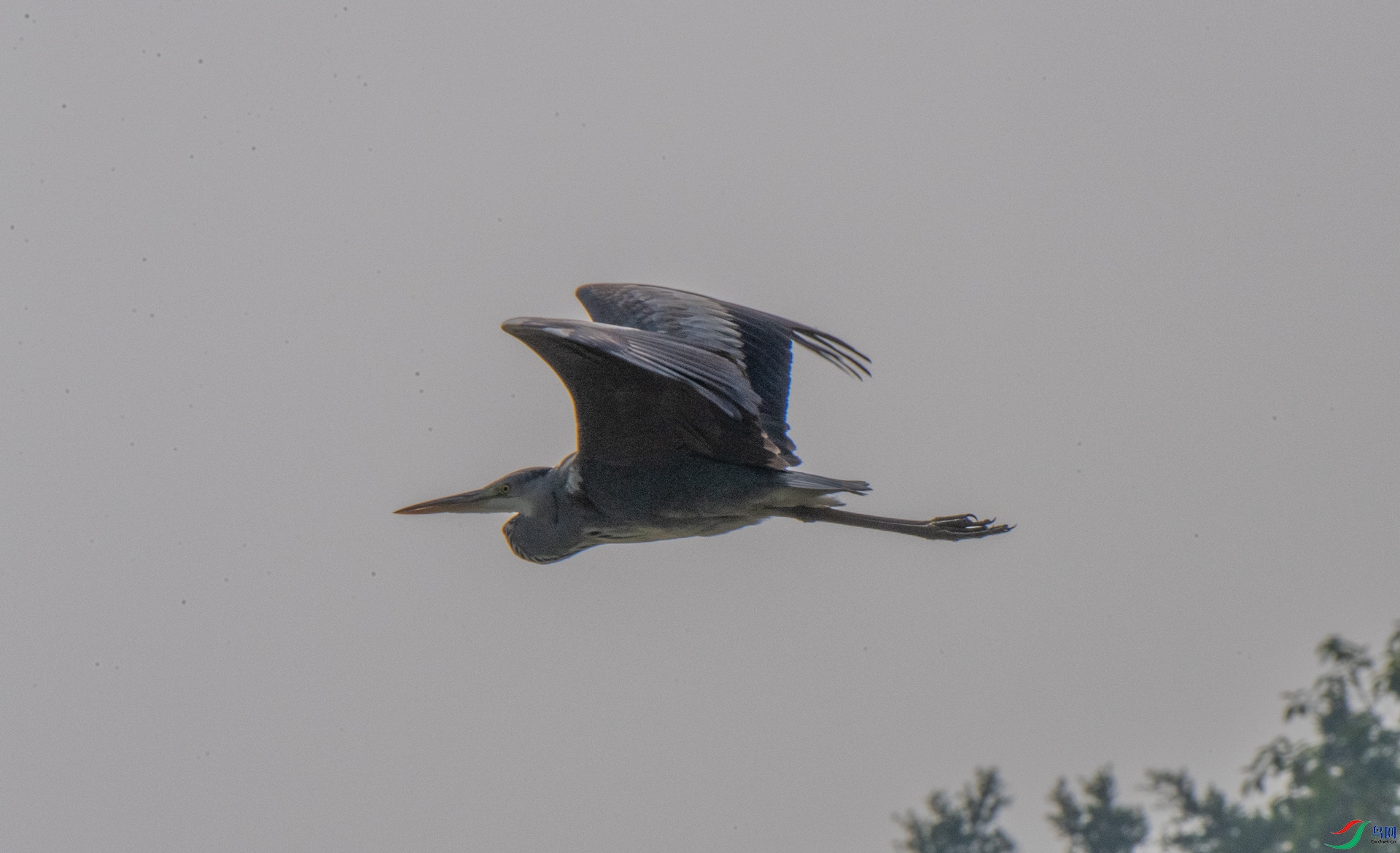 DSC_0405.jpg