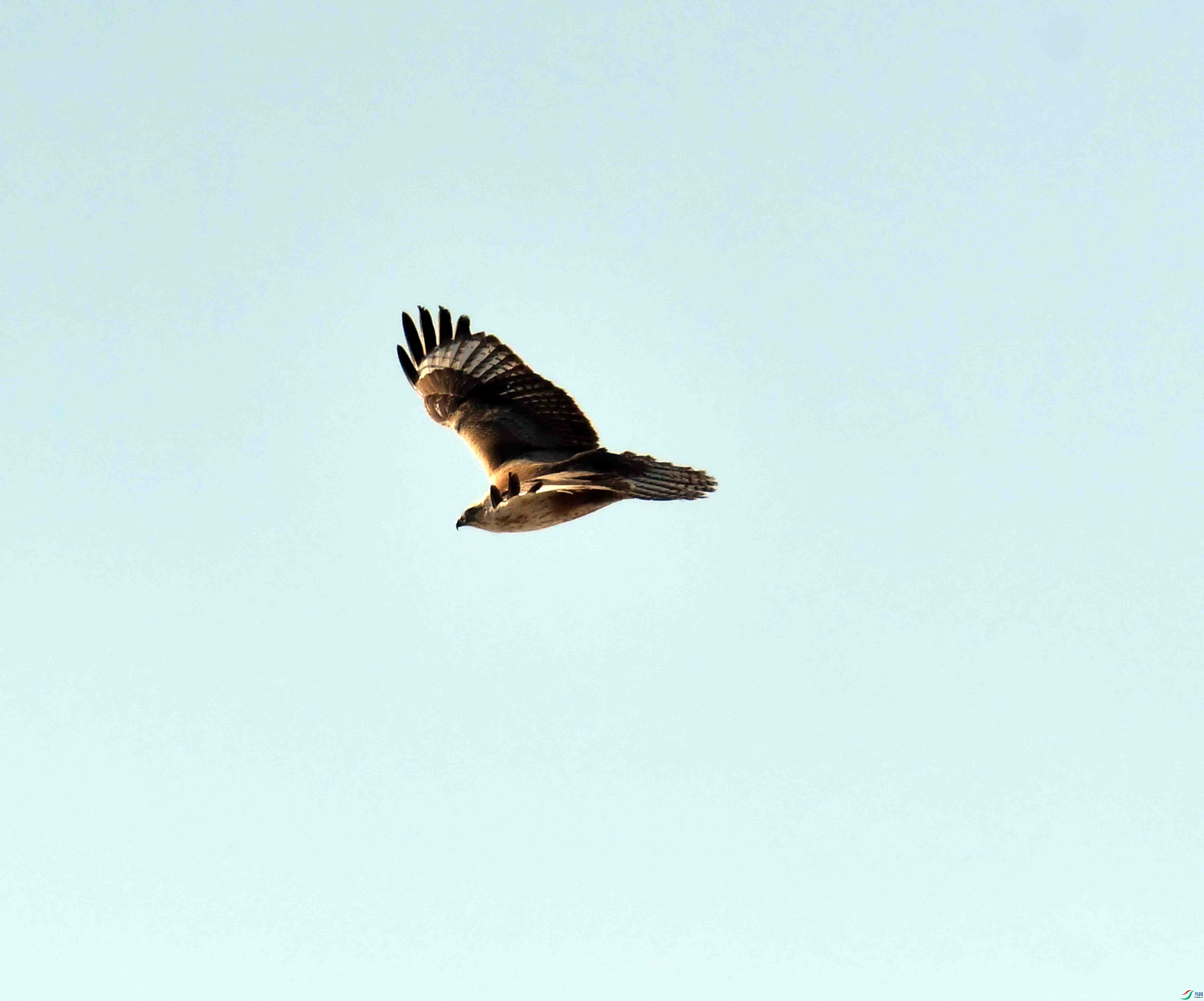DSC_0998.JPG