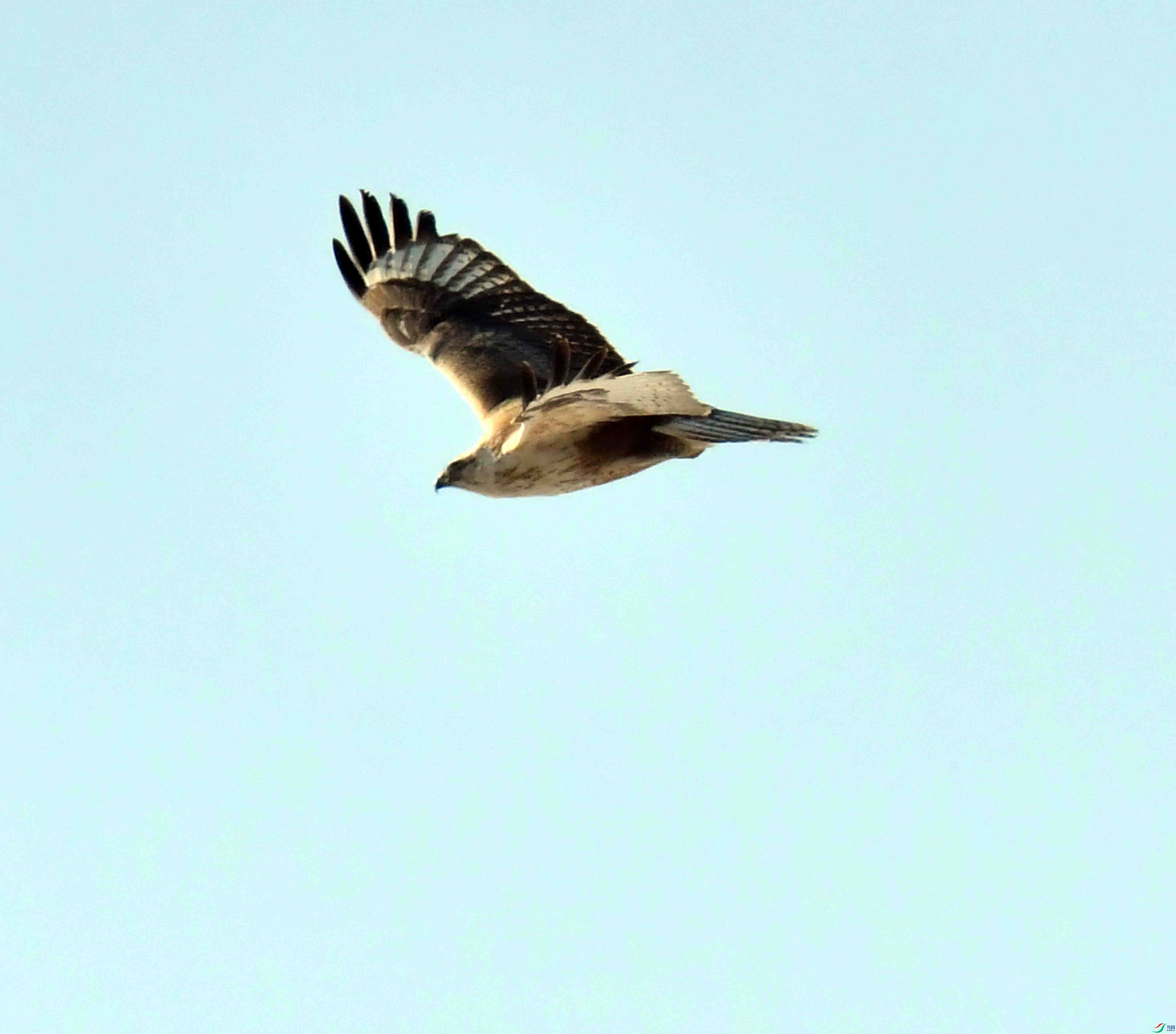 DSC_0999.JPG