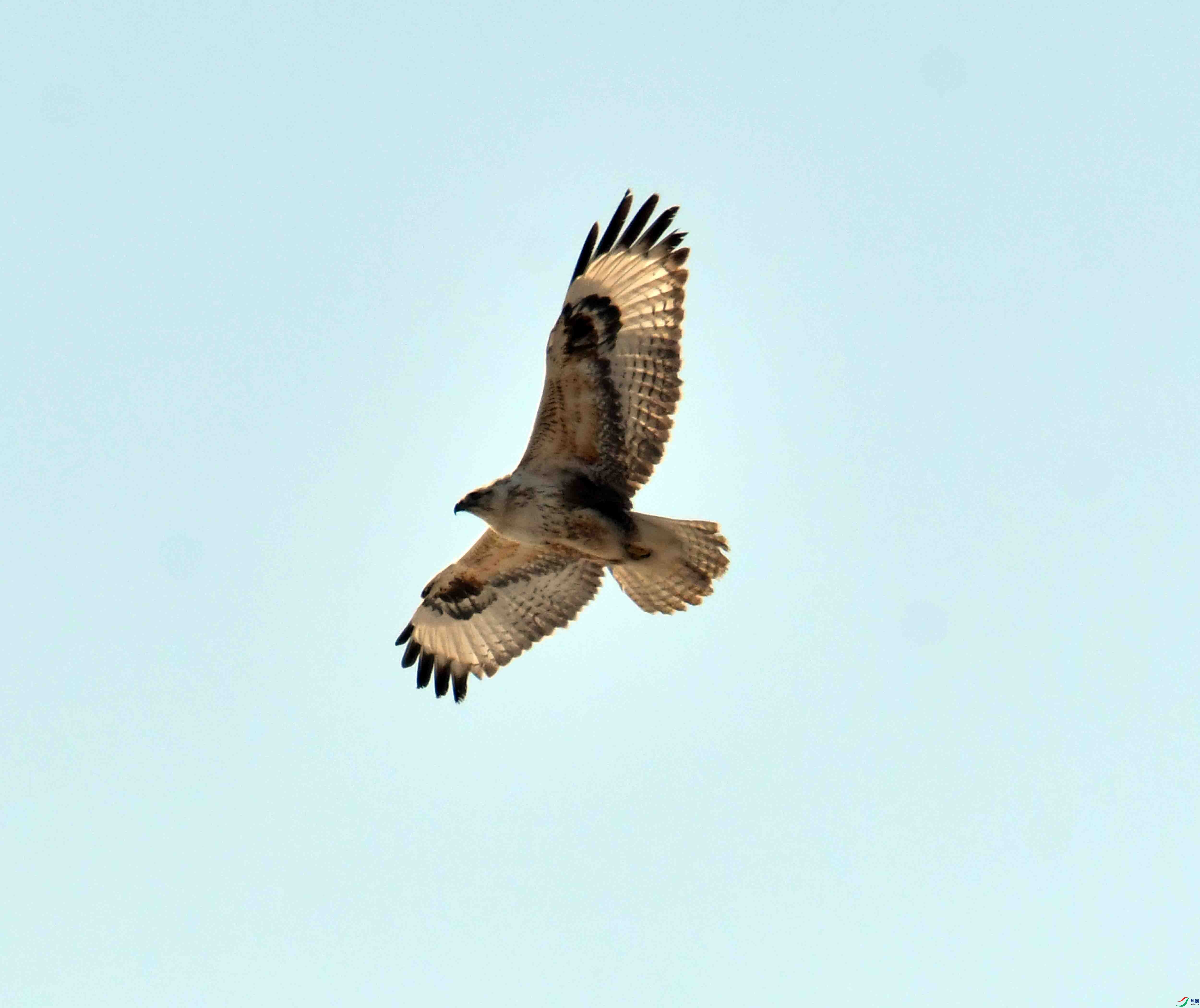 DSC_1001.JPG
