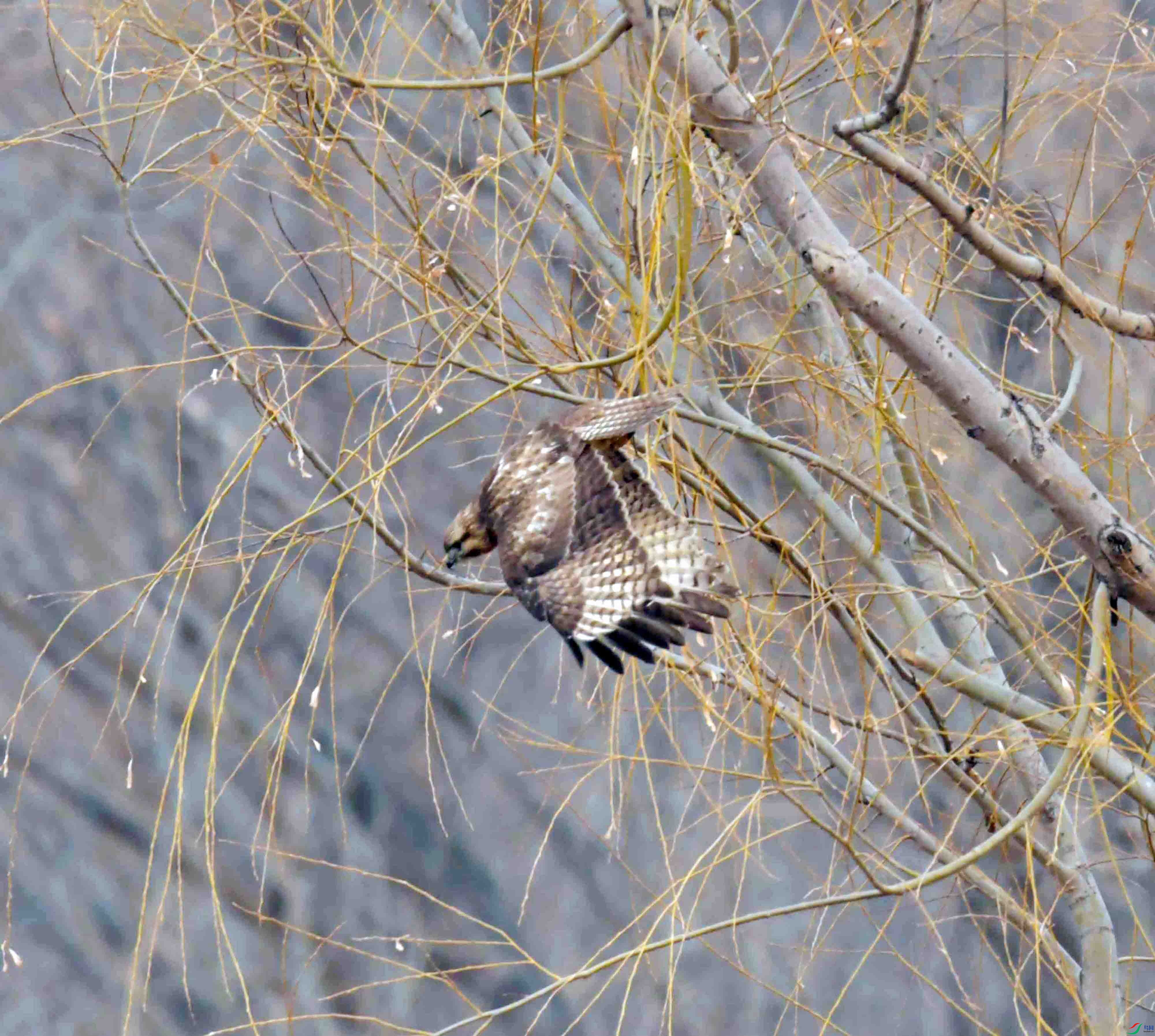 DSC_2609.JPG