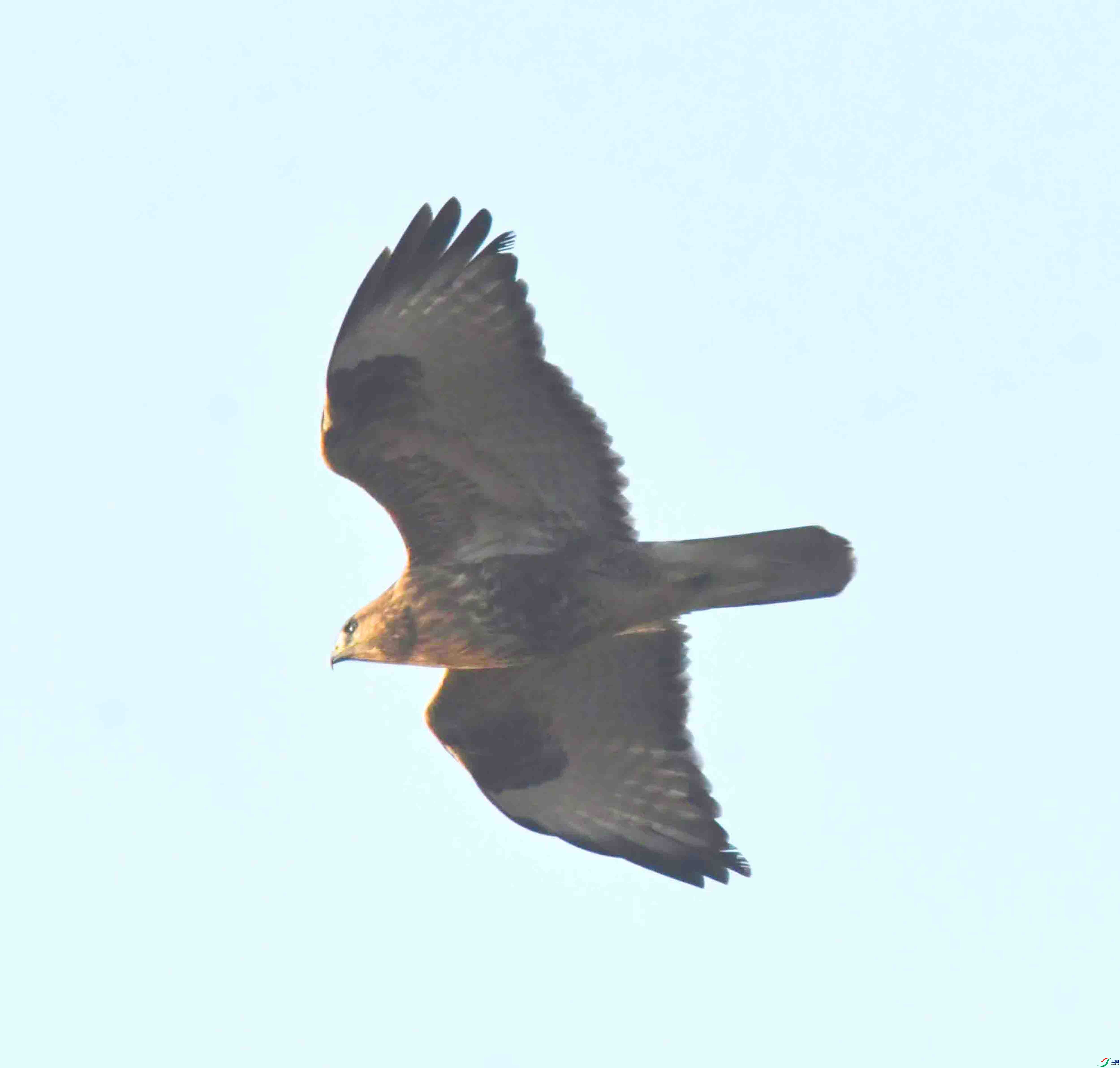 DSC_9043.JPG