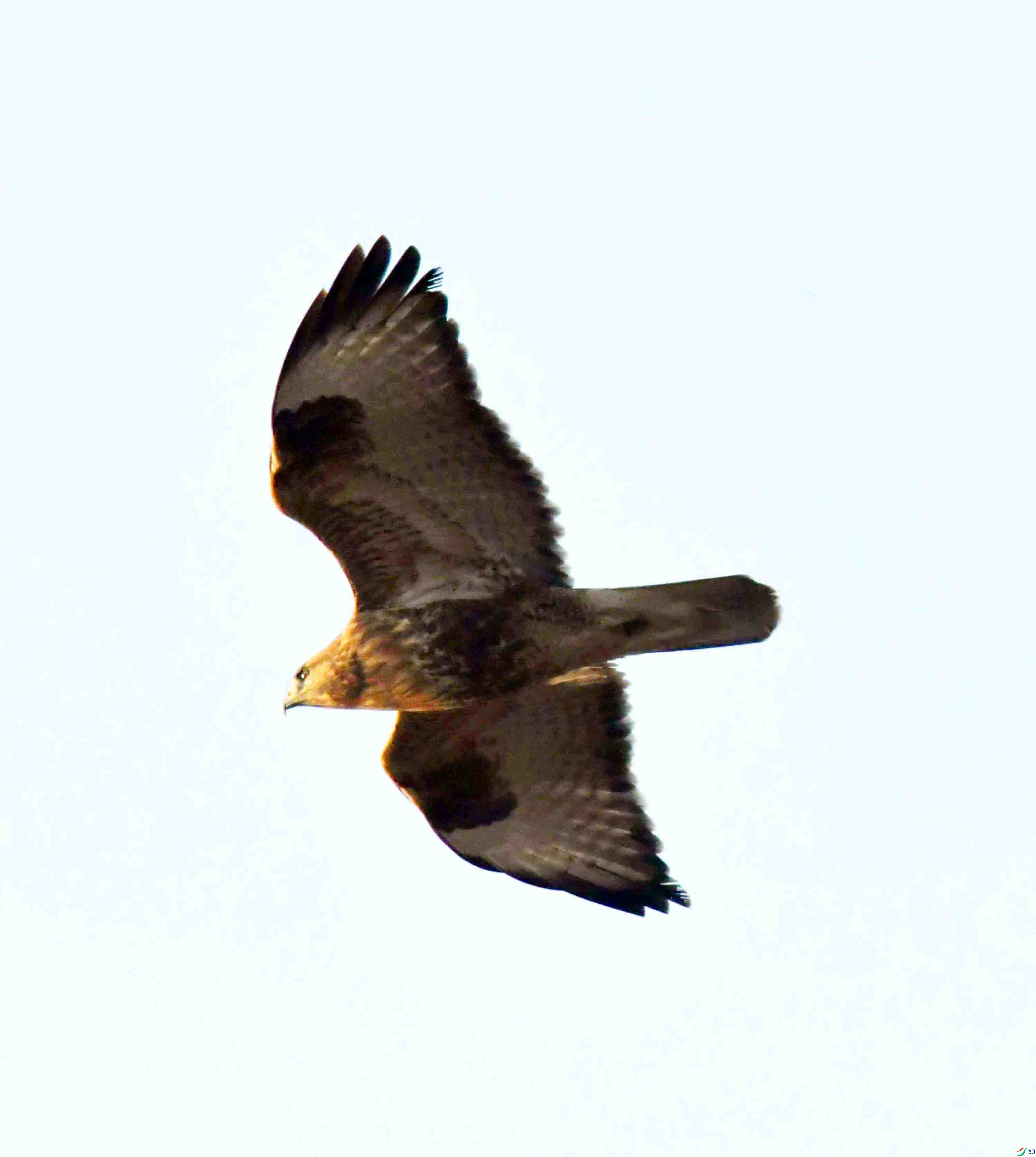 DSC_9044.JPG