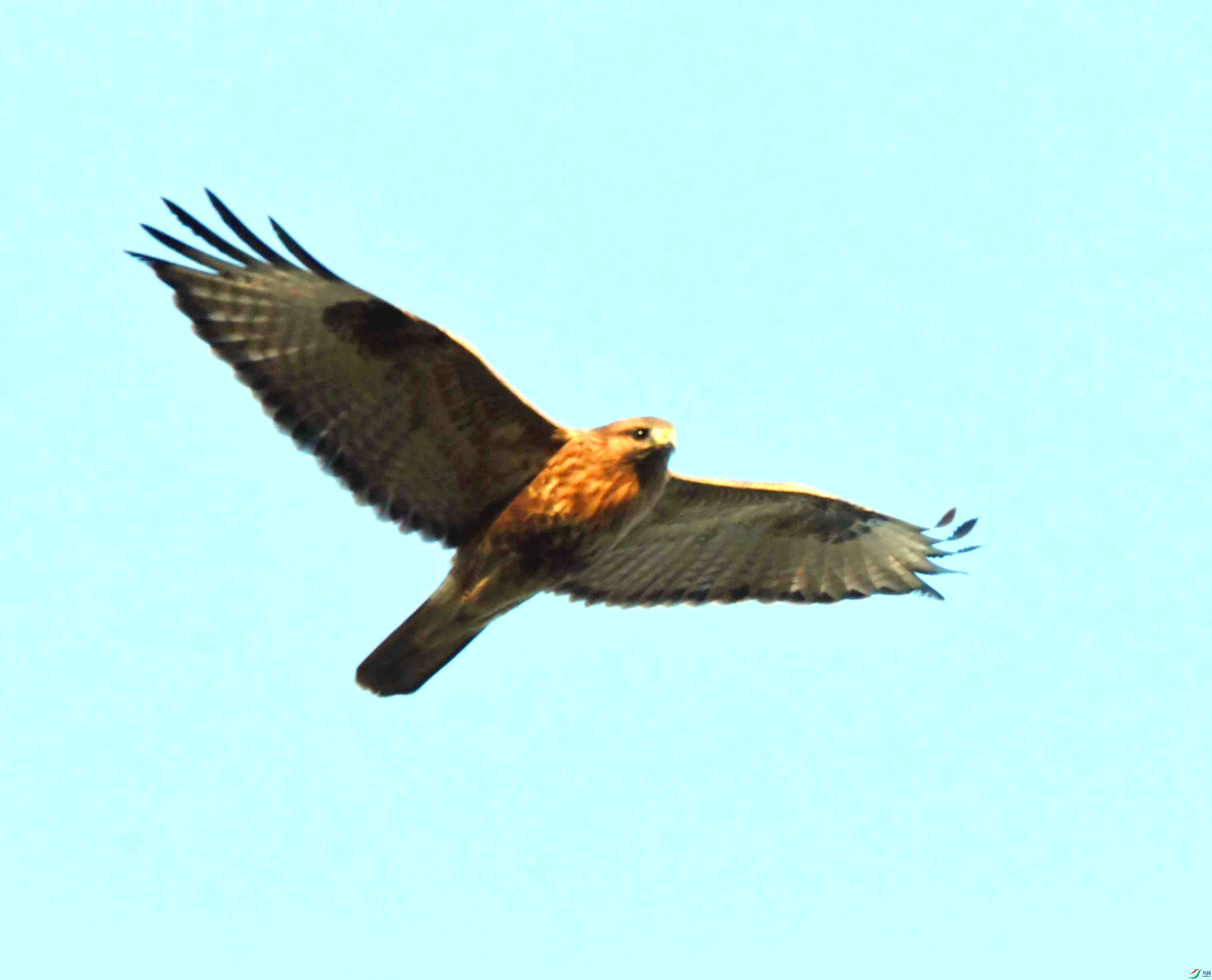 DSC_9078.JPG