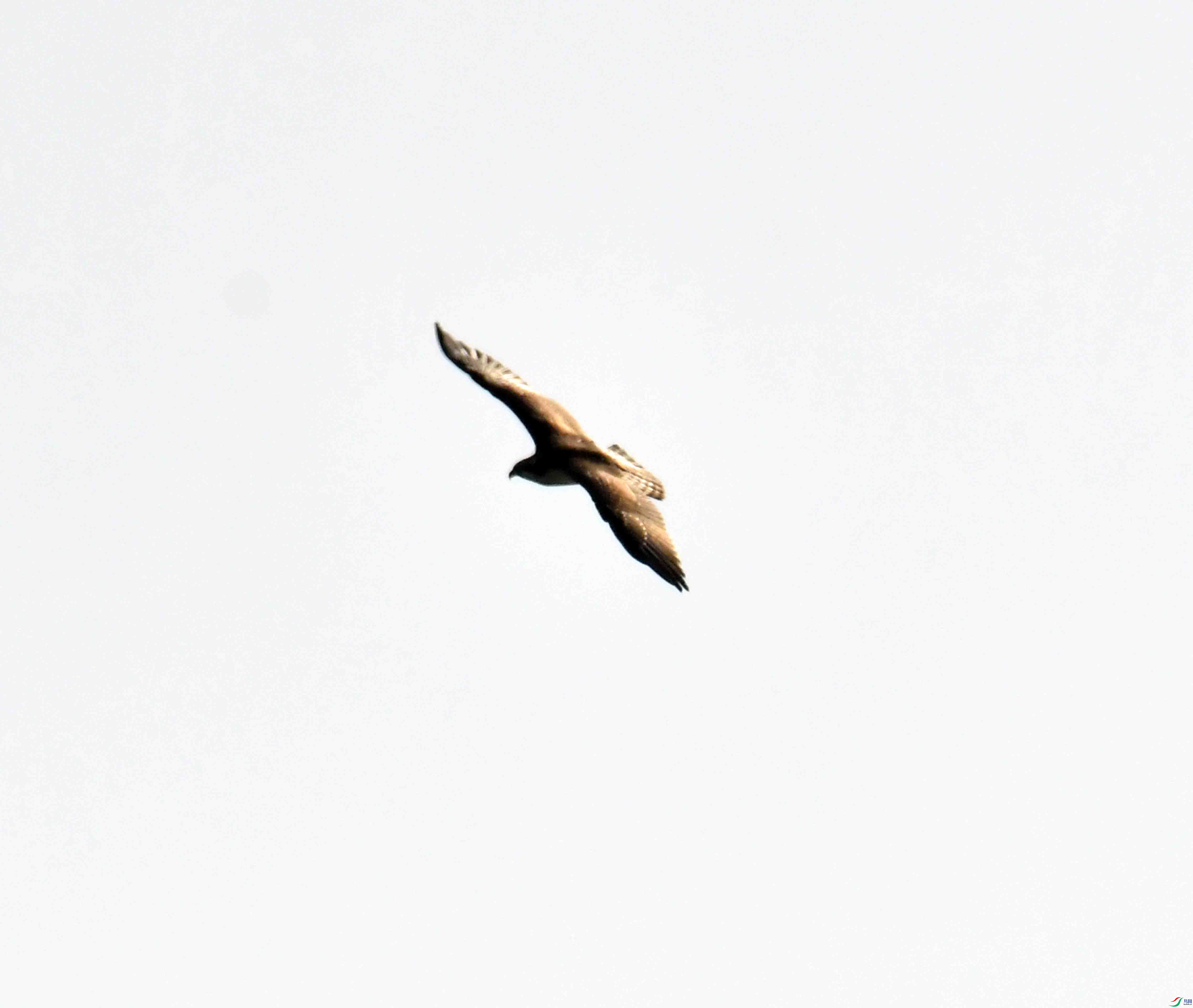 DSC_5193.JPG