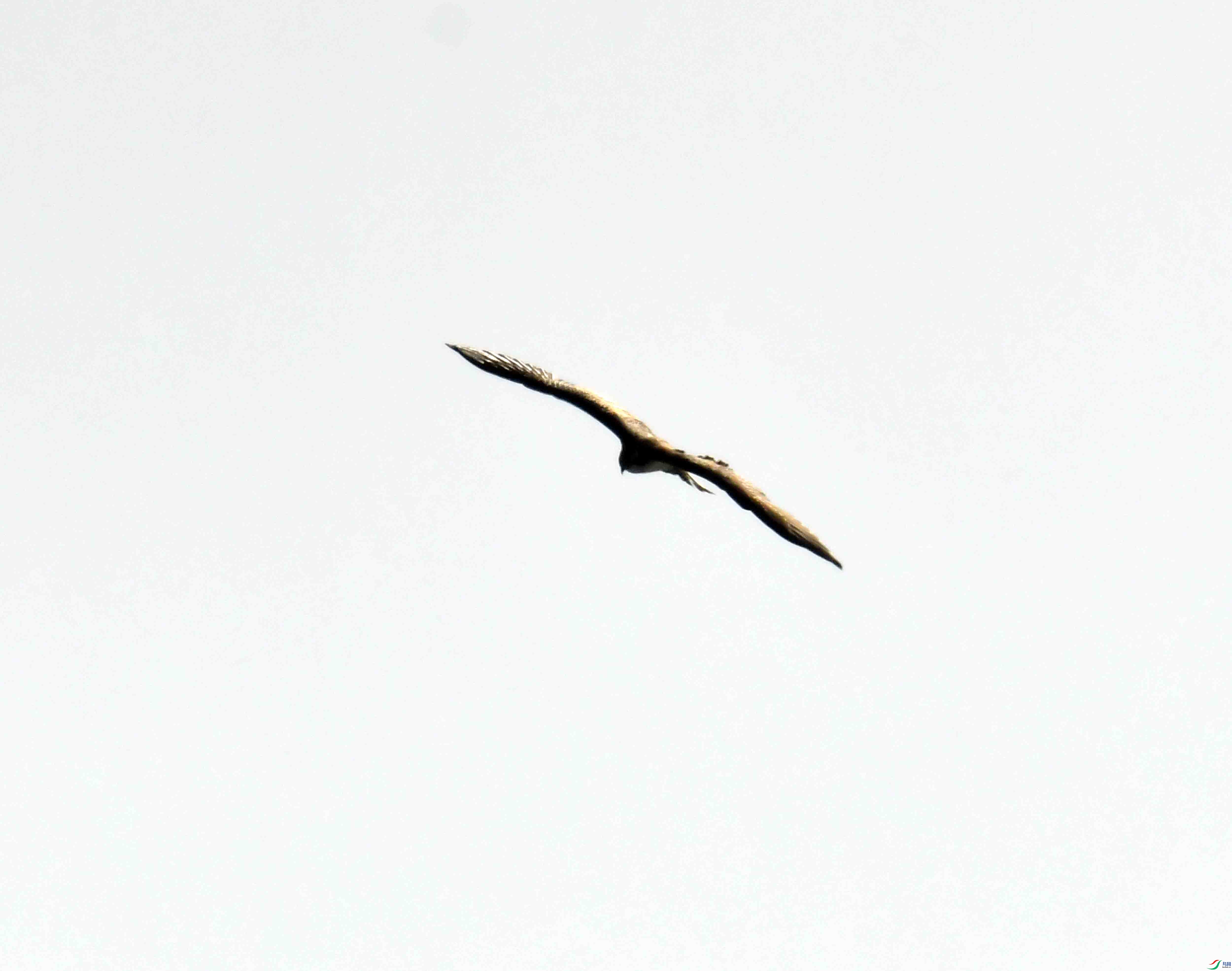 DSC_5194.JPG