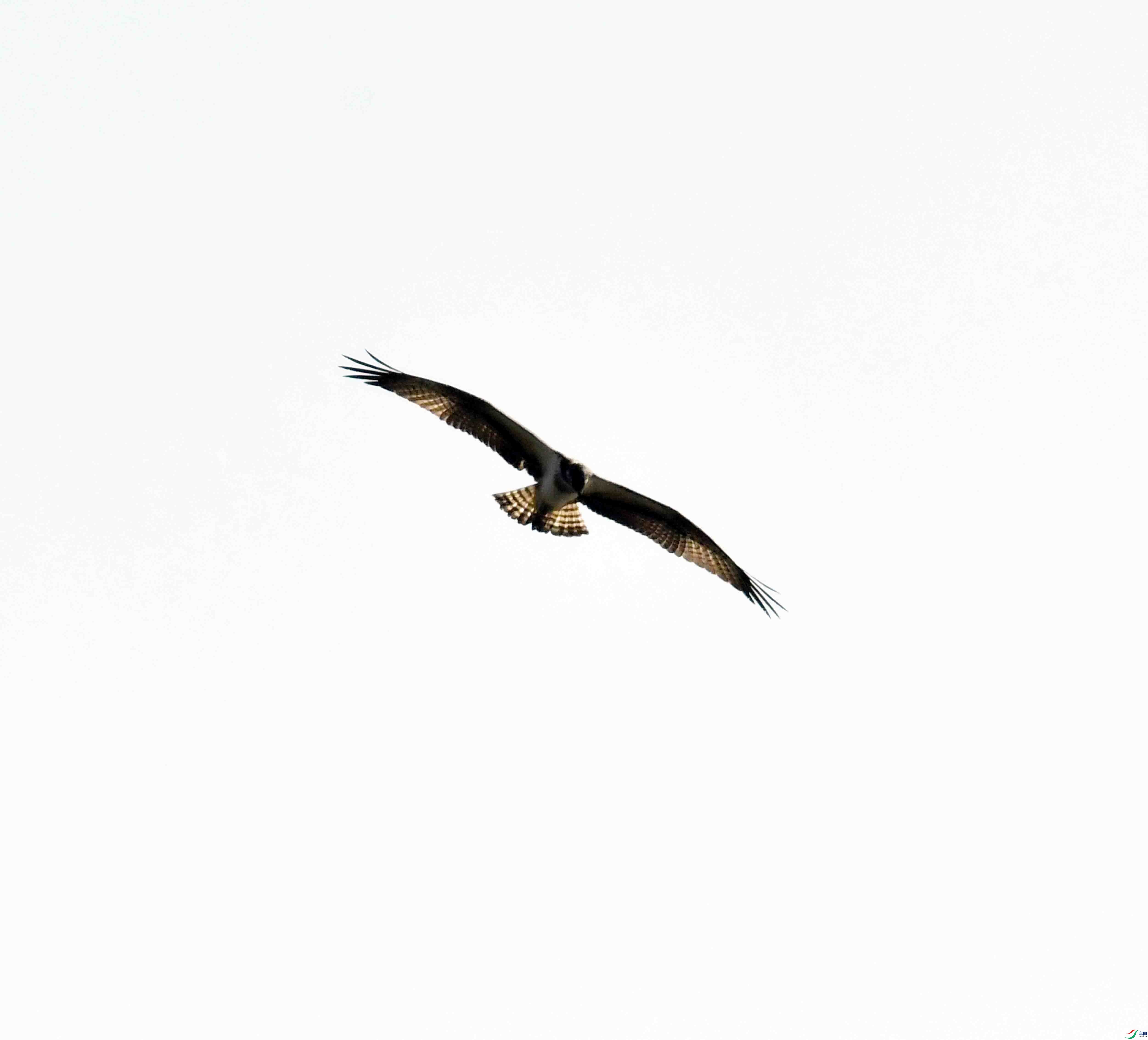 DSC_5202.JPG