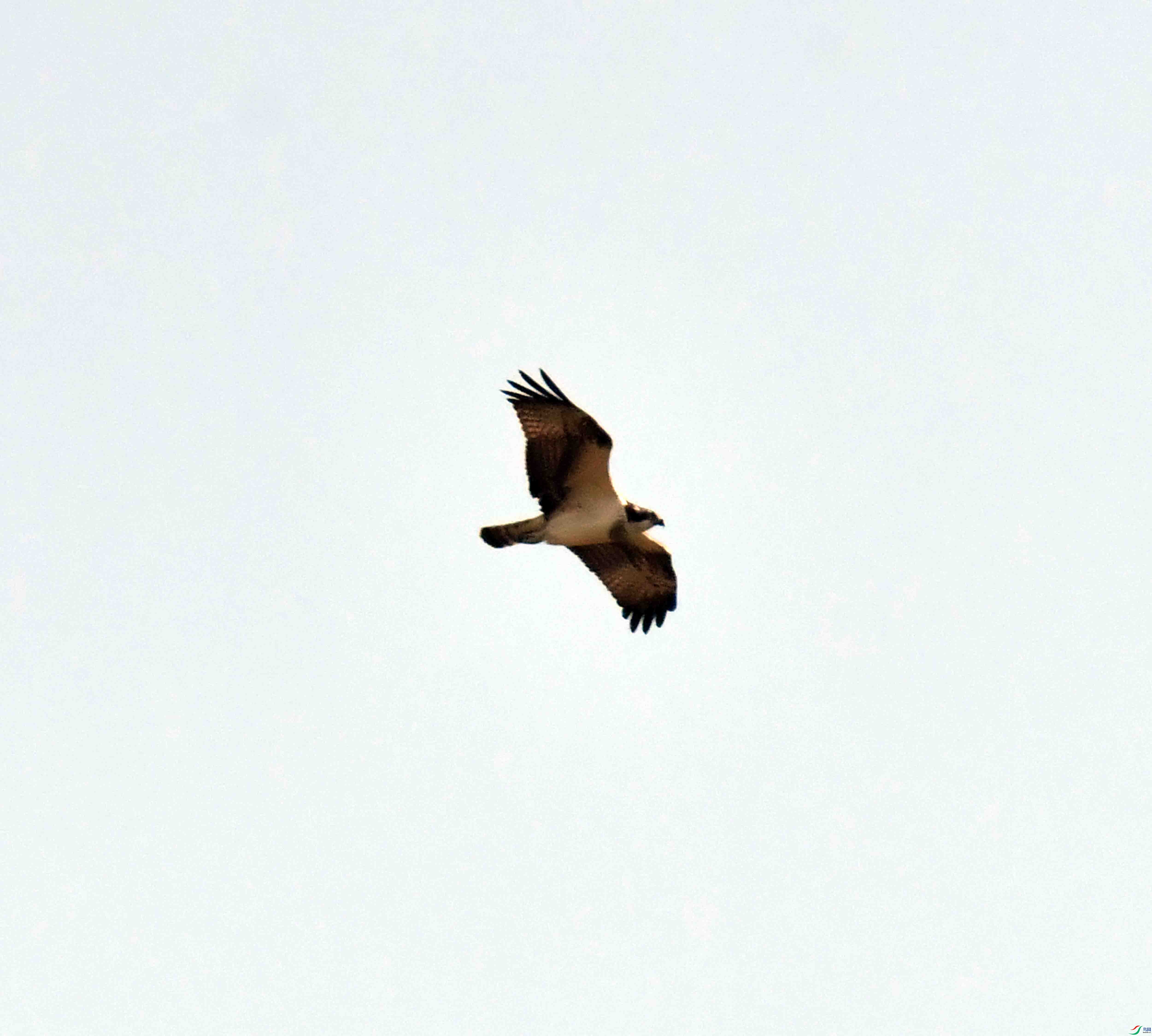 DSC_5285.JPG