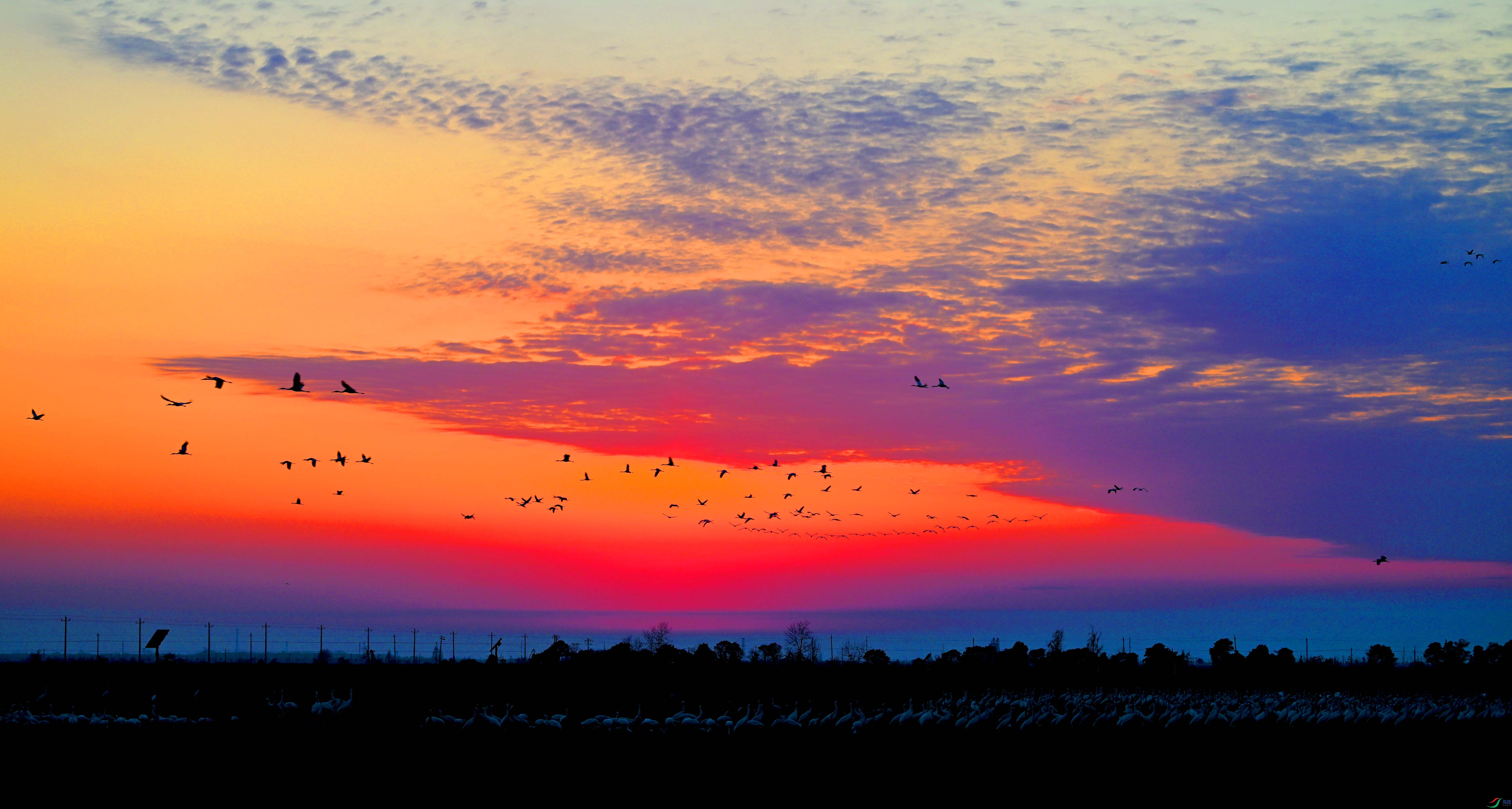 DSC_3653 ����.jpg