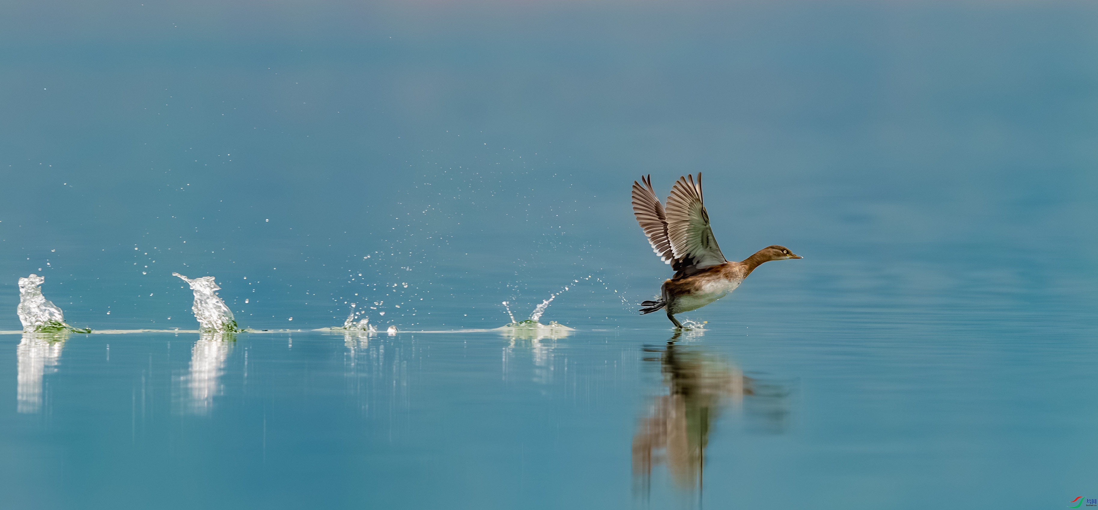 _DSC0882-����ǿ-NR_1 - ����.JPG