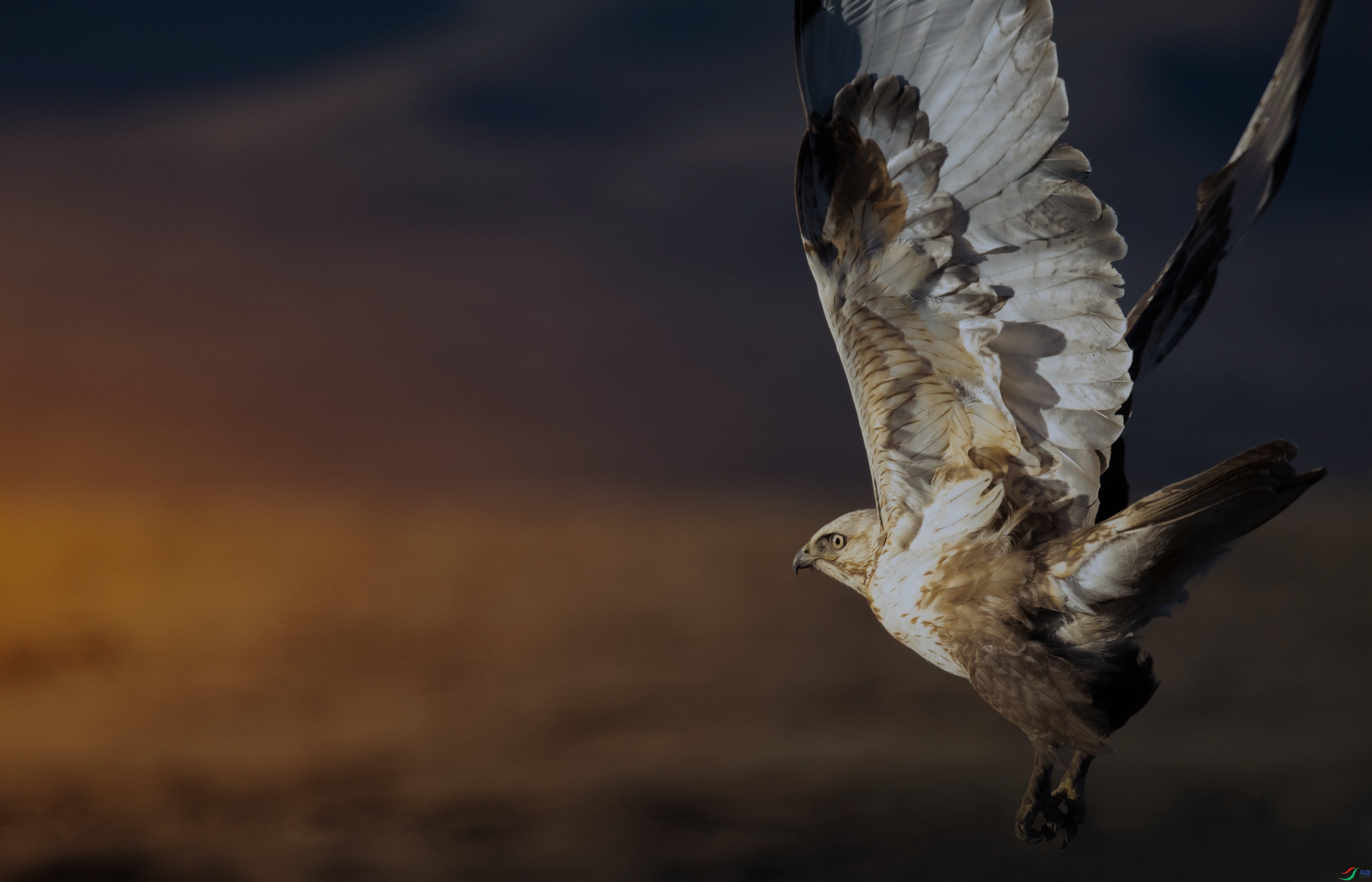 7X5A9908 - ����.jpg