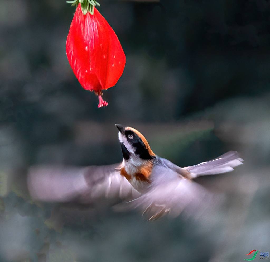 DSC01170 ���� 2.jpg