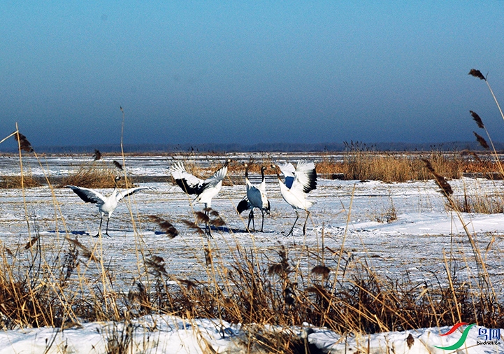 DSC_2508.jpg