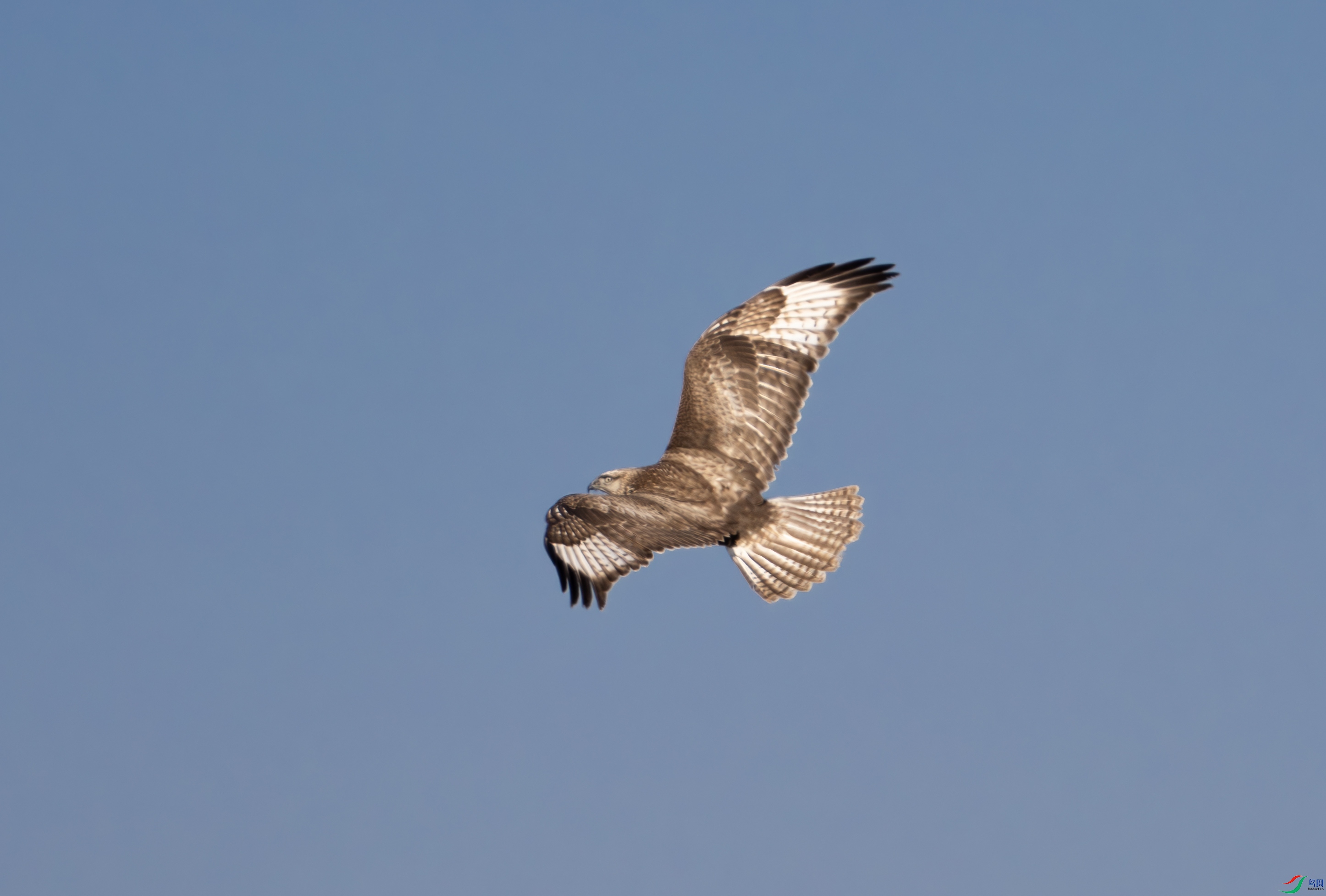 DSC07639-����ǿ-NR ����.jpg