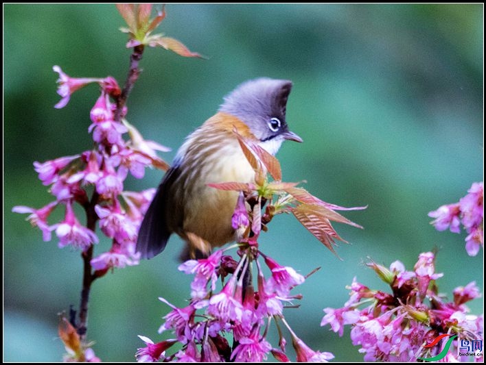 �ƾ�����