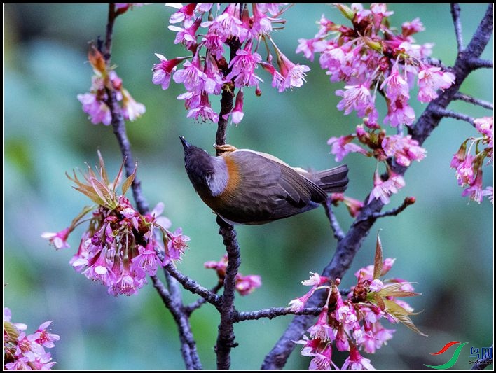 �ƾ�����