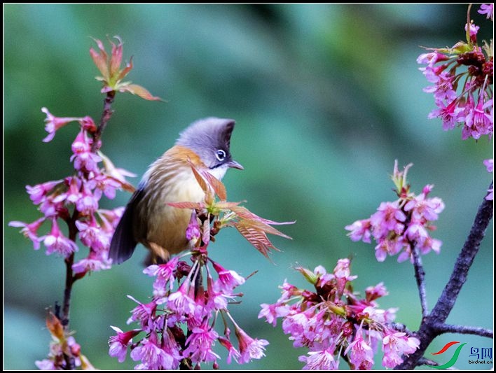 �ƾ�����