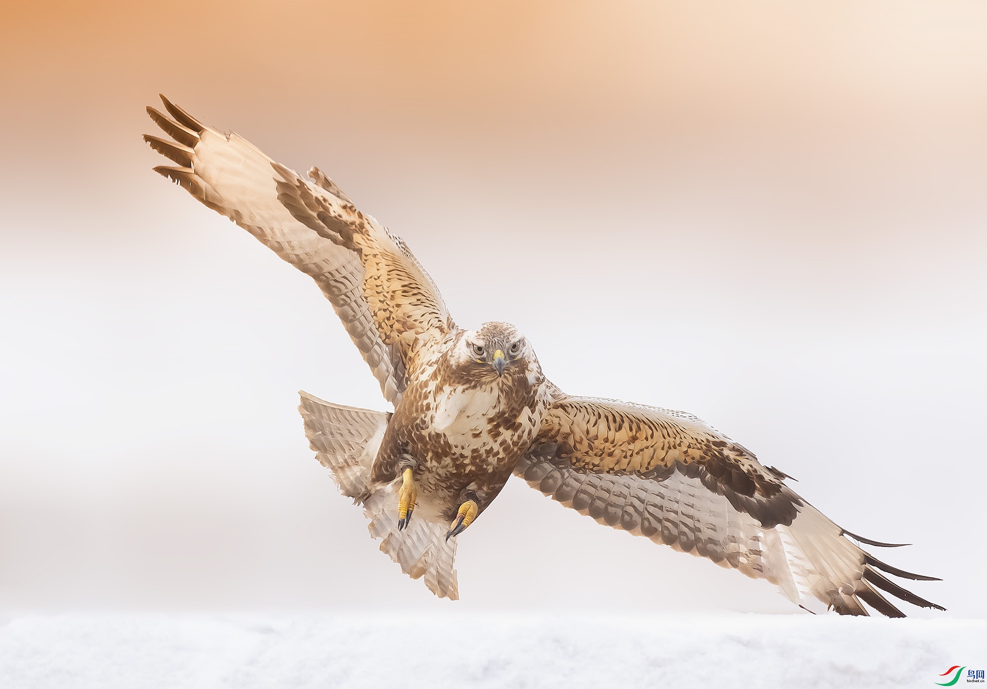 019A14000 ����.jpg