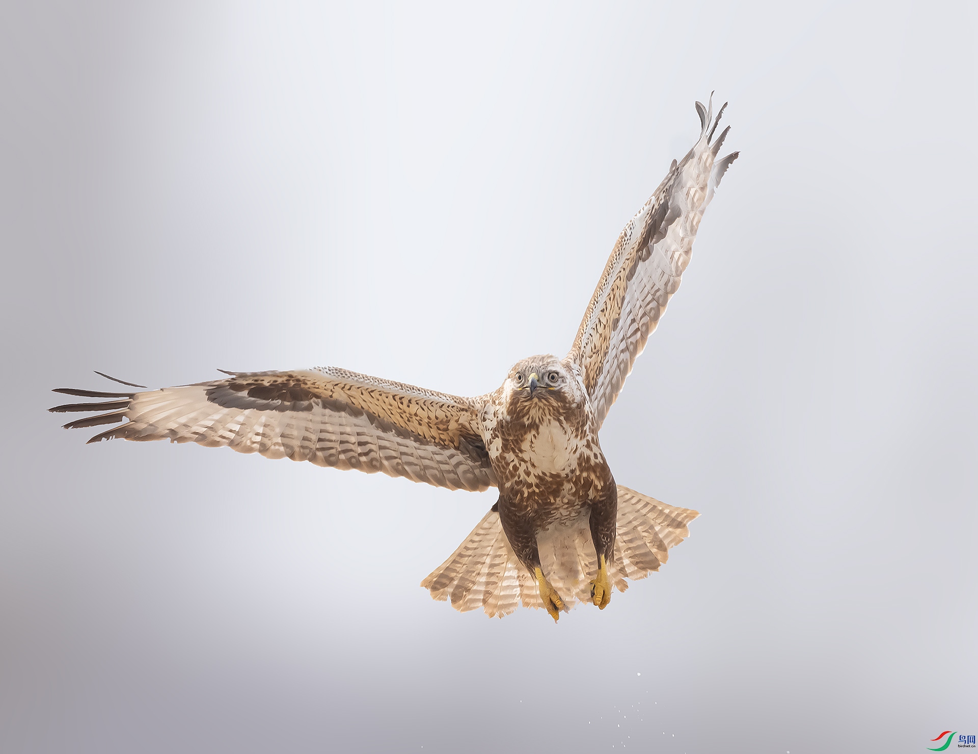 019A1605 ����.jpg