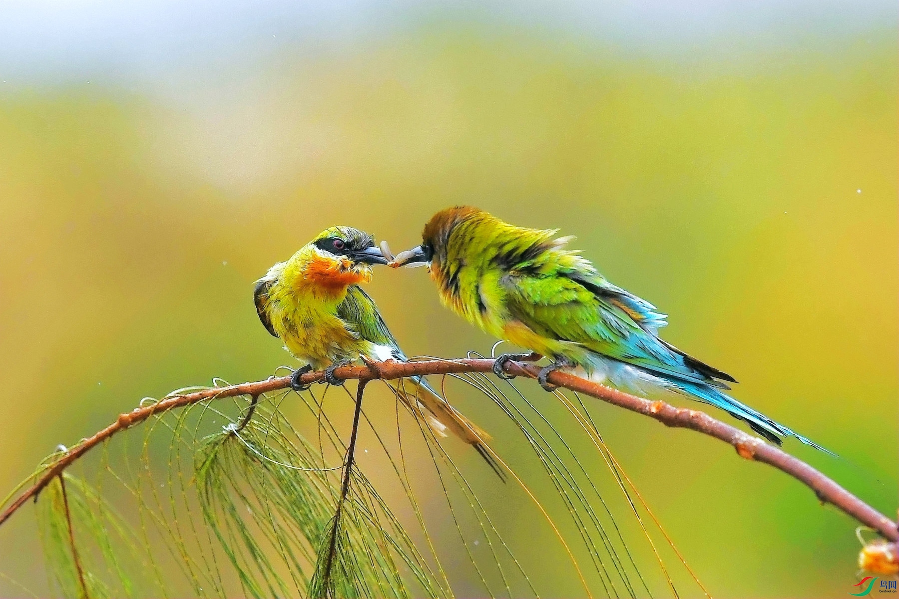 DSC_3673 _����.jpg