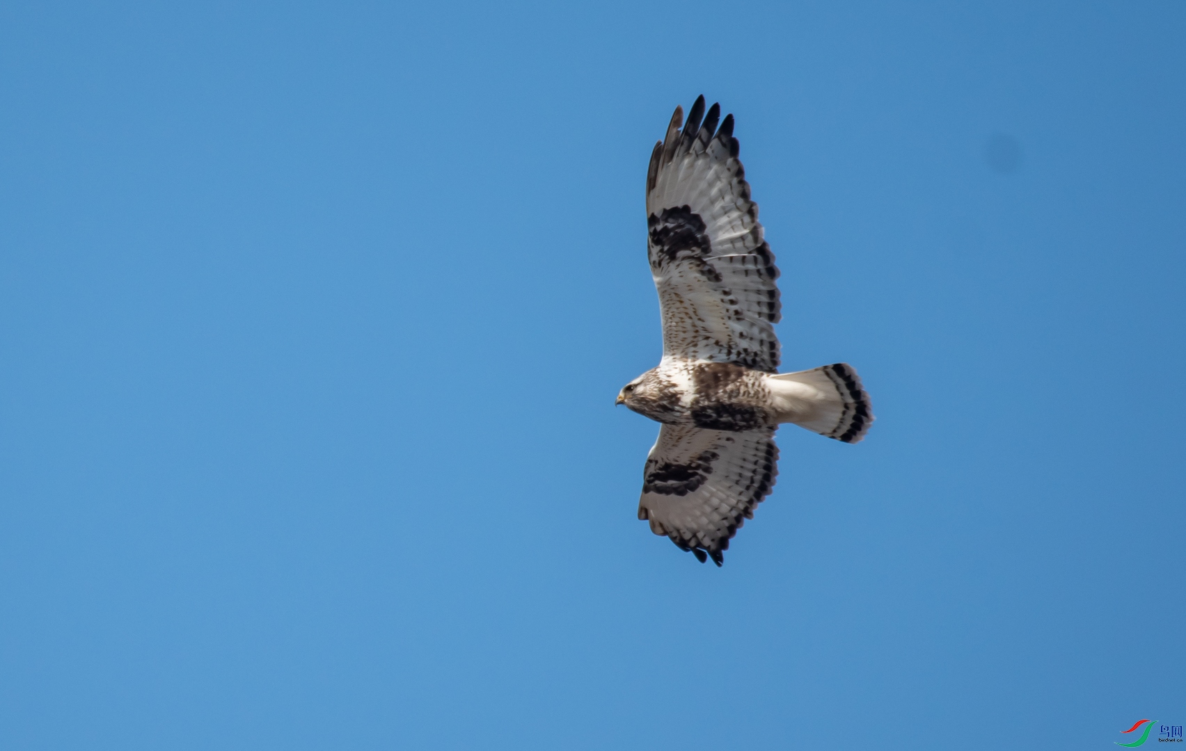 DSC_2155.jpg