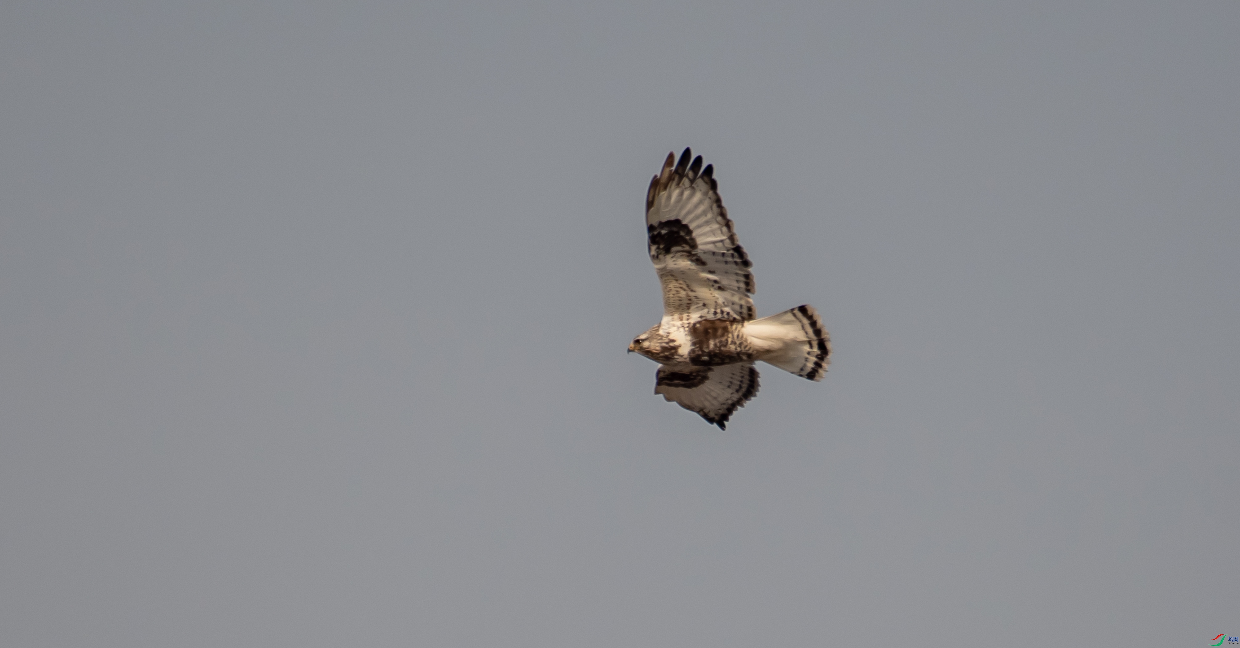 DSC_1973.jpg