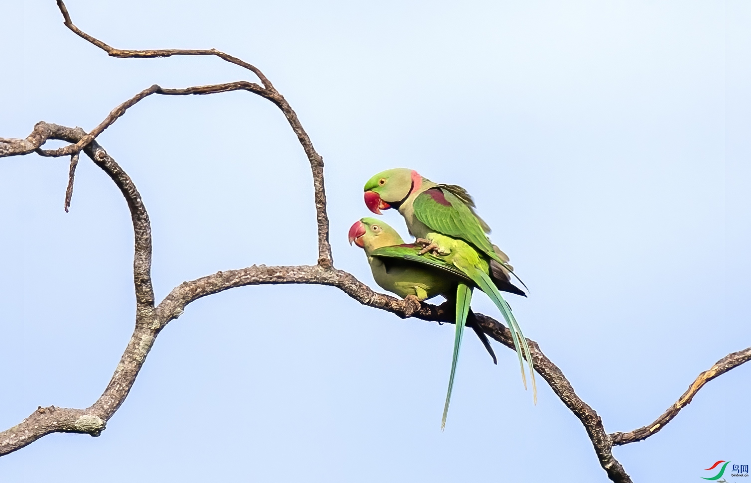 AC3I3602 ����.jpg