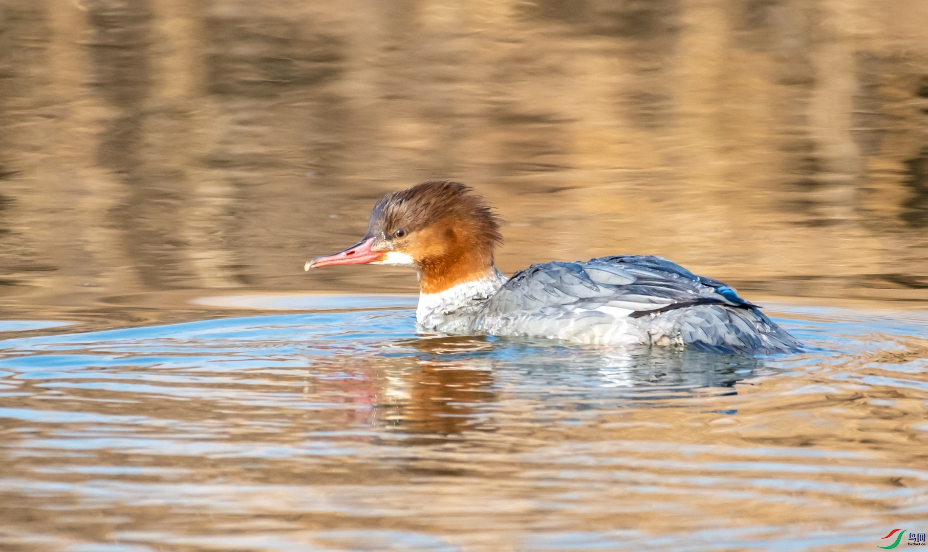 DSC_3407.jpg