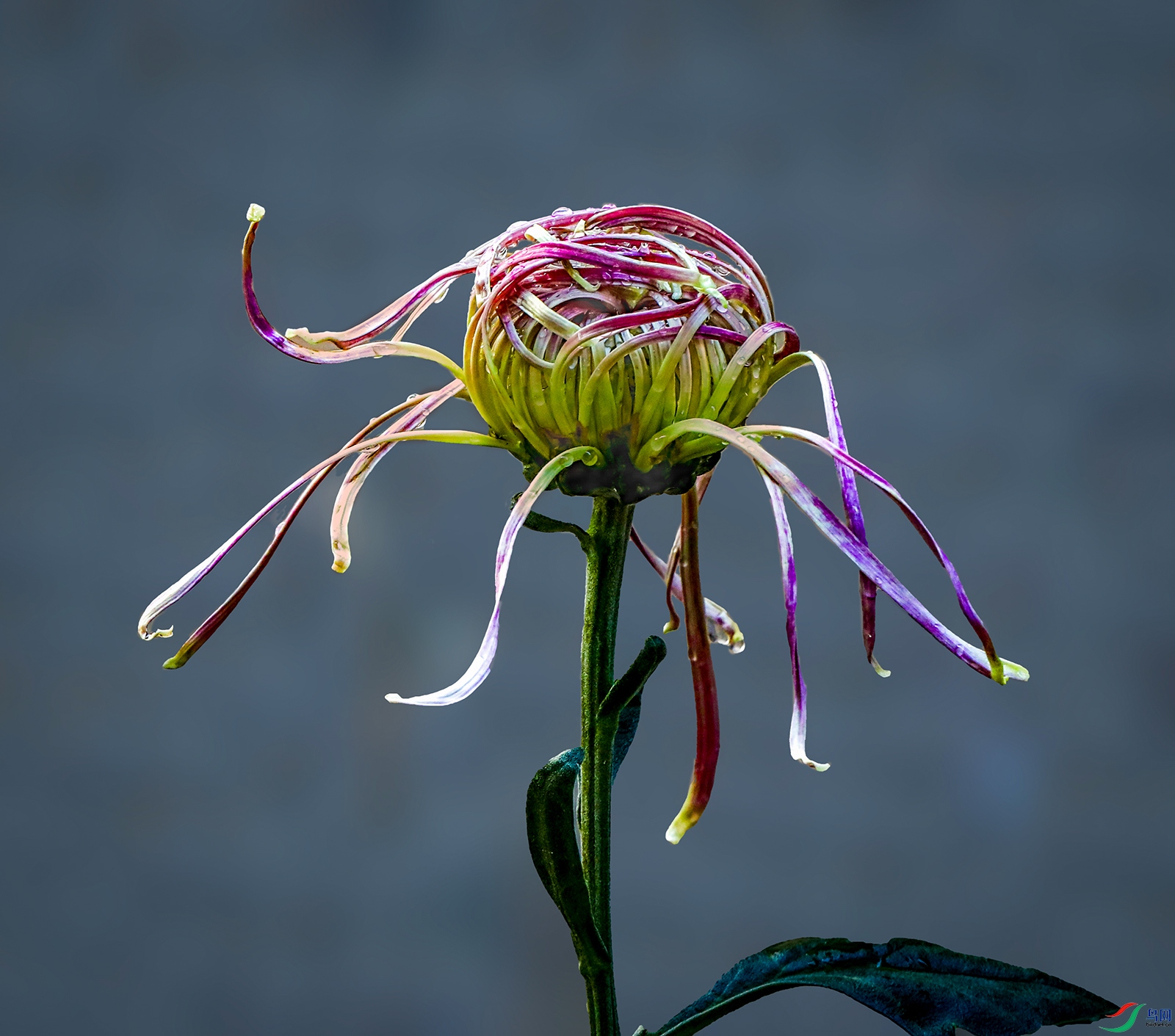 0000IMG_0925 ���� ��1000k.jpg