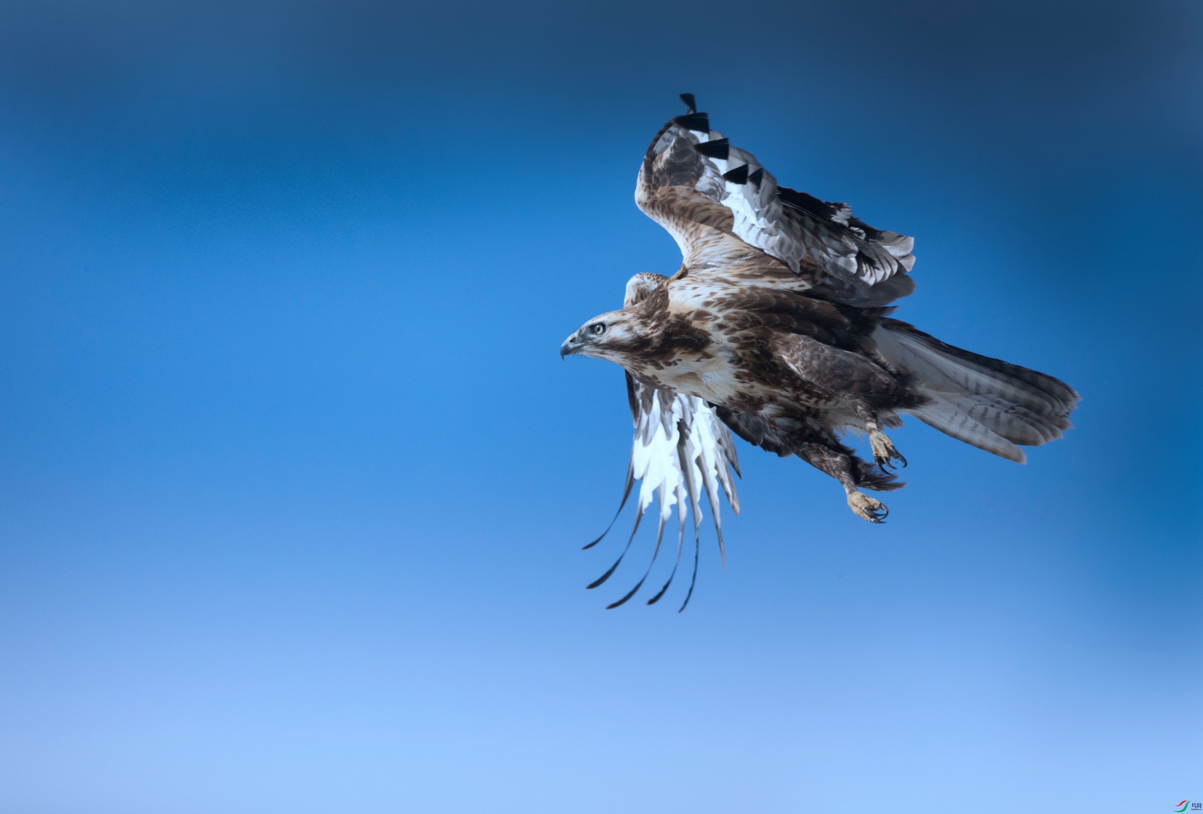 381A8135 - ����.jpg