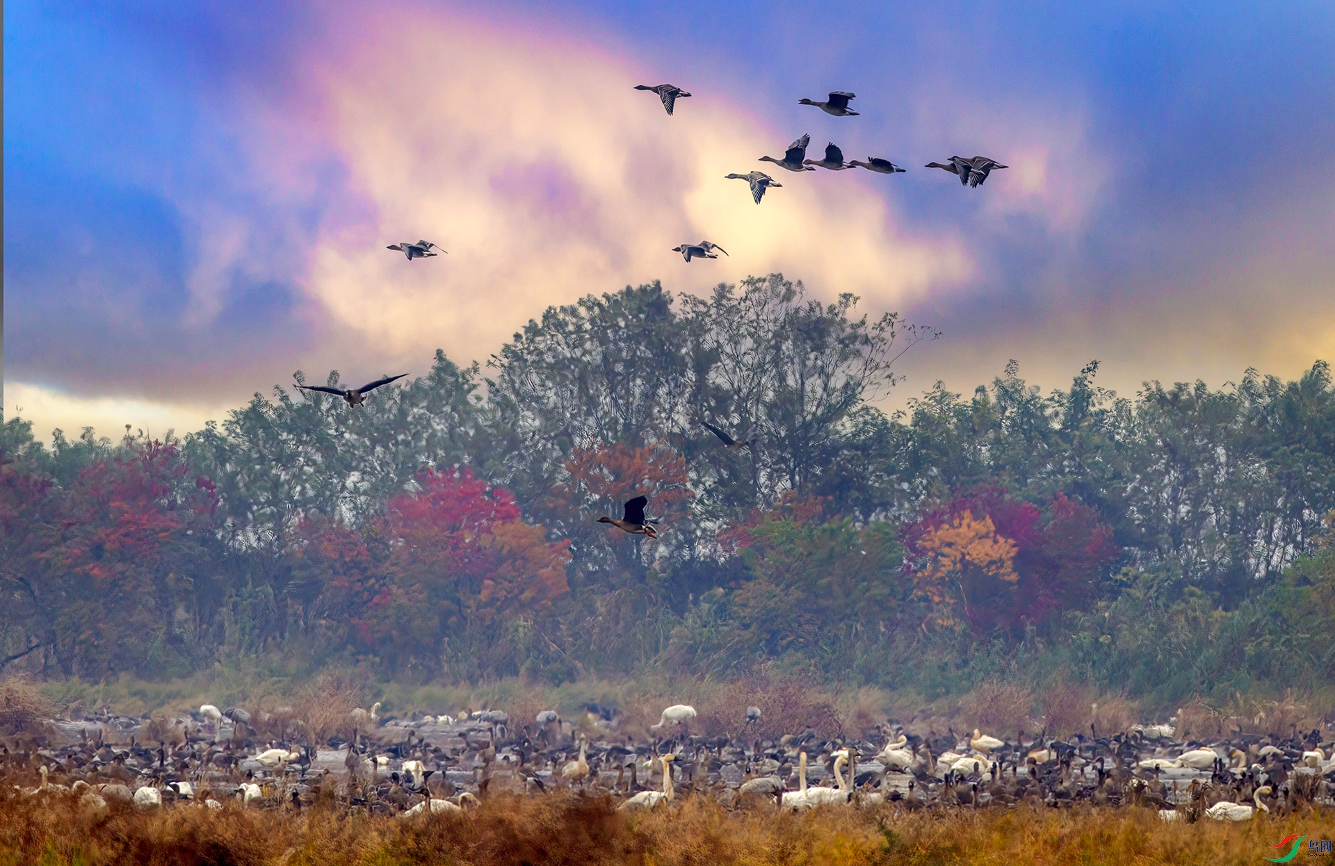 407A0402-Sh---1 .jpg