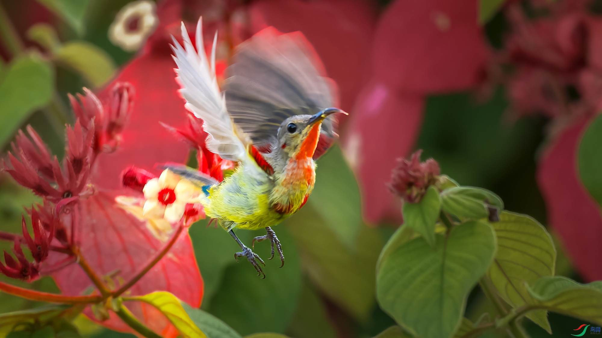 _8173851-ORF_DxO_DeepPRIMEXD ���� 2.jpg