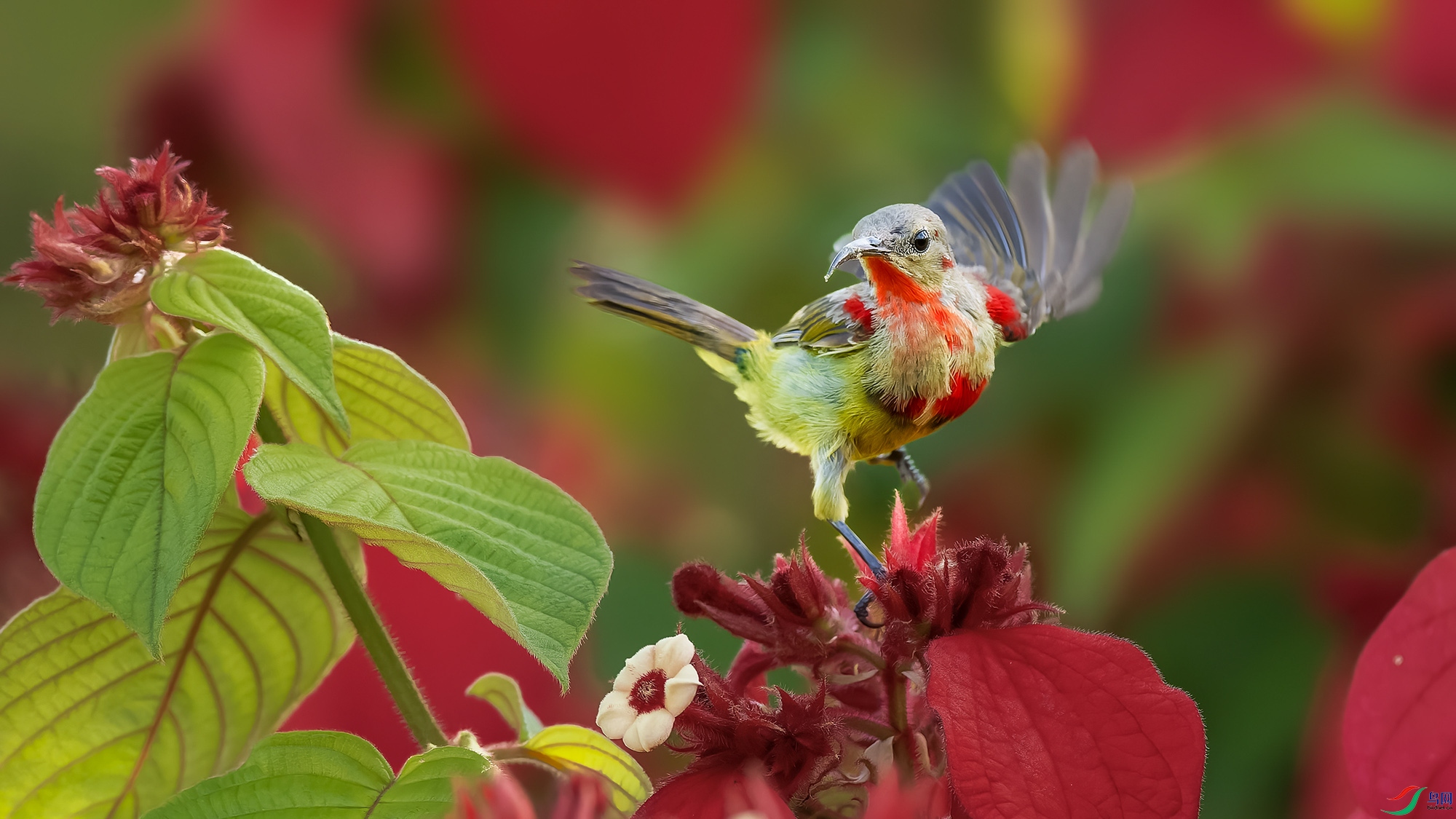 _8174012-ORF_DxO_DeepPRIMEXD ���� 2.jpg