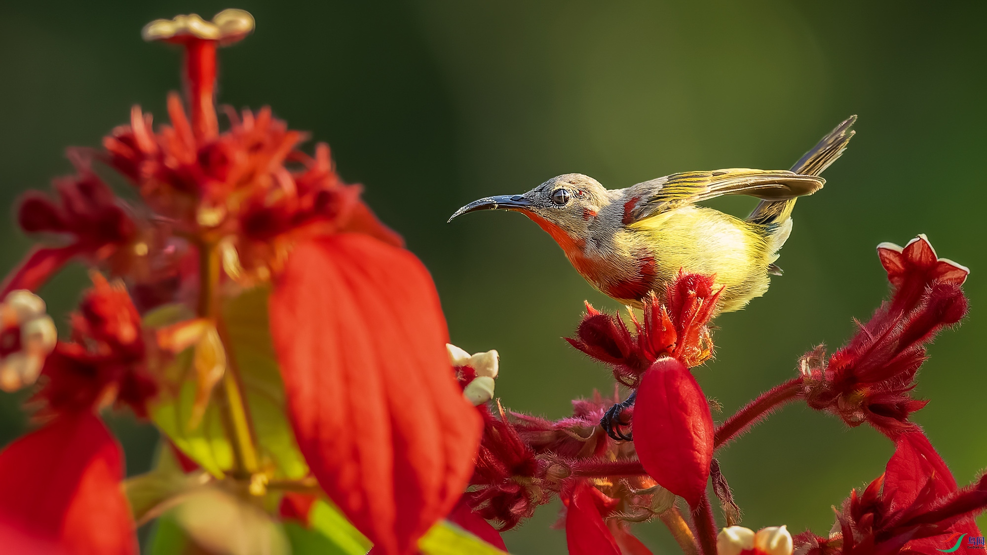 _8174128-ORF_DxO_DeepPRIMEXD ���� 2.jpg