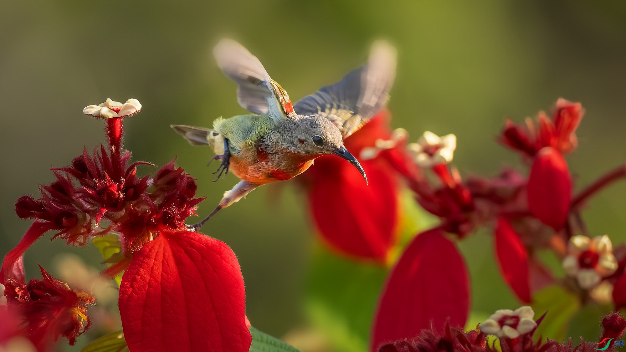 _8174224-ORF_DxO_DeepPRIMEXD ���� 2.jpg