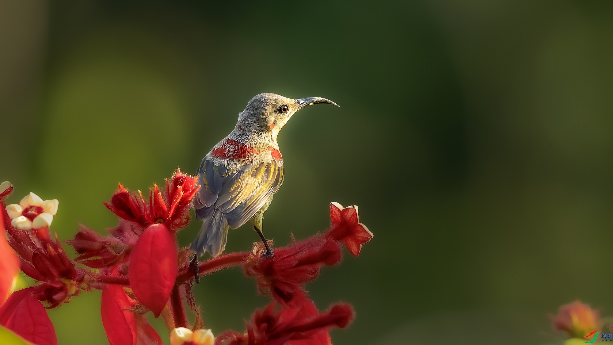 _8174278-ORF_DxO_DeepPRIMEXD ���� 2.jpg