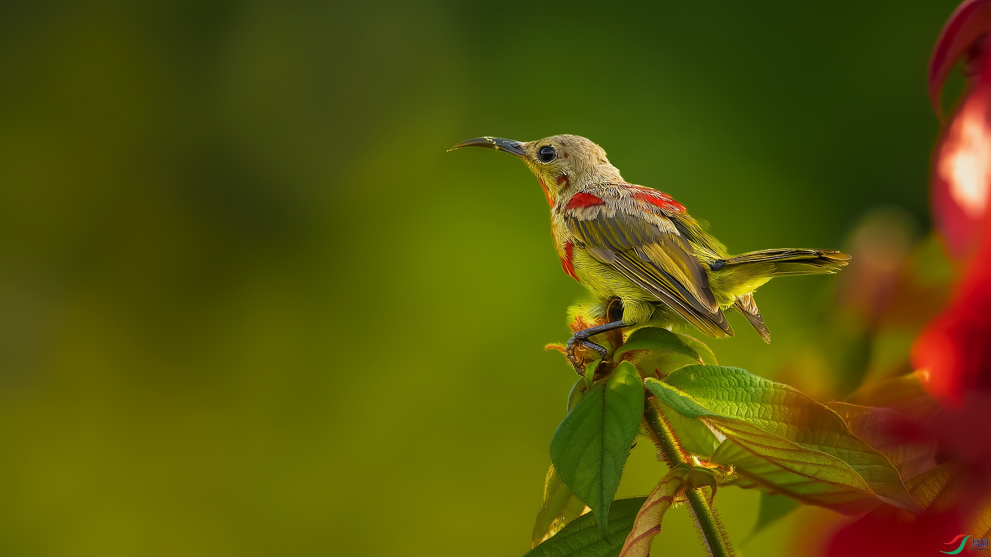 _8174309-ORF_DxO_DeepPRIMEXD ���� 2.jpg