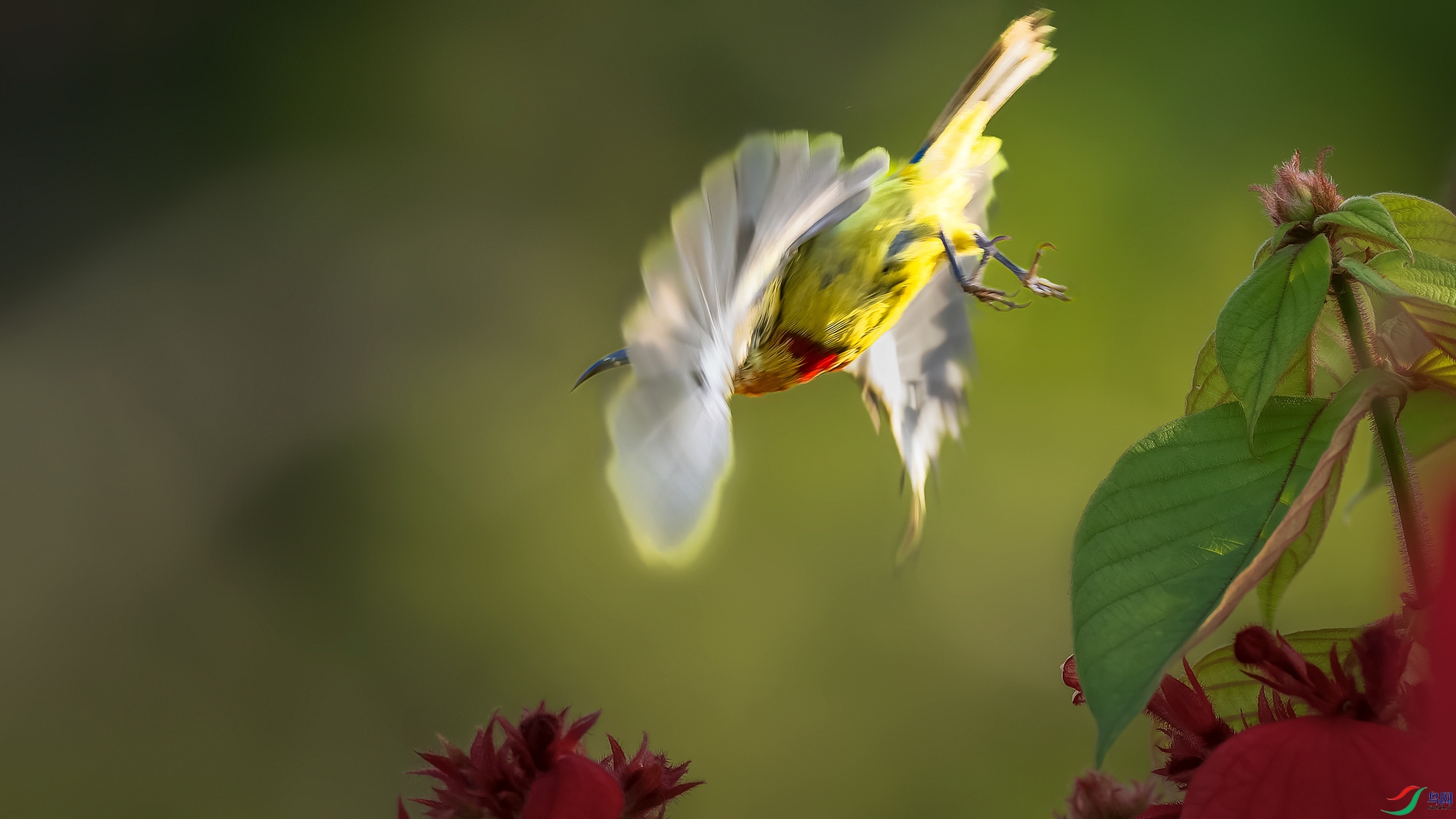 _8174310-ORF_DxO_DeepPRIMEXD ���� 2.jpg