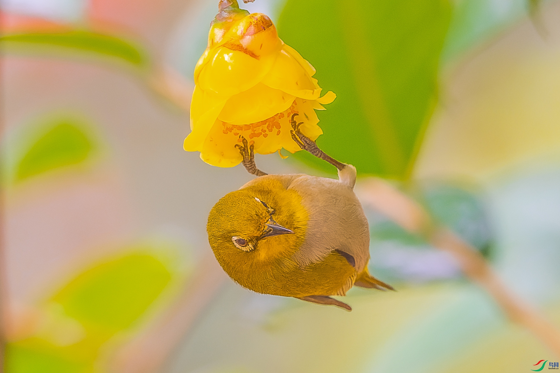22.01��LPY_1303.jpg