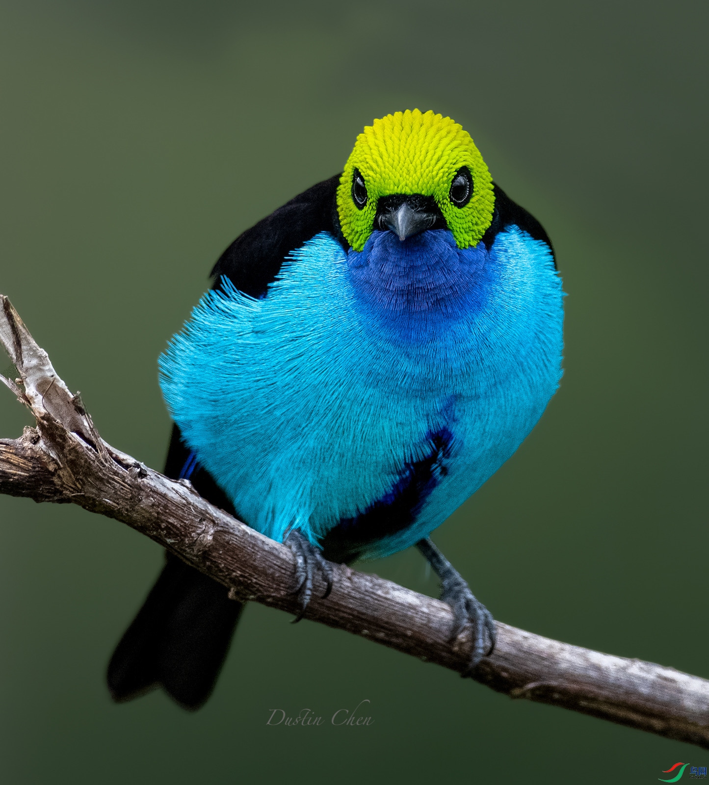 ������ȸ