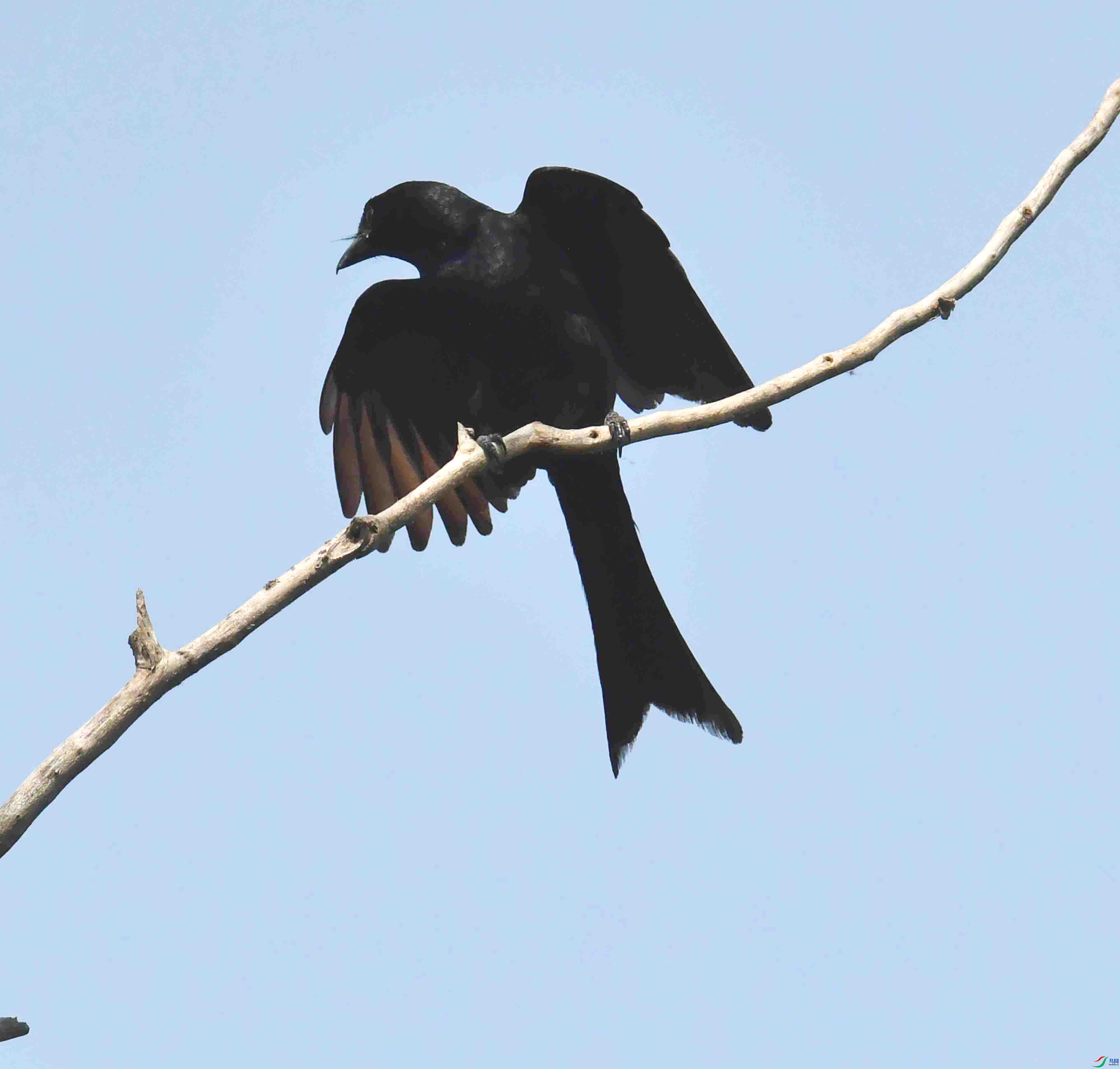 DSC_0741.JPG