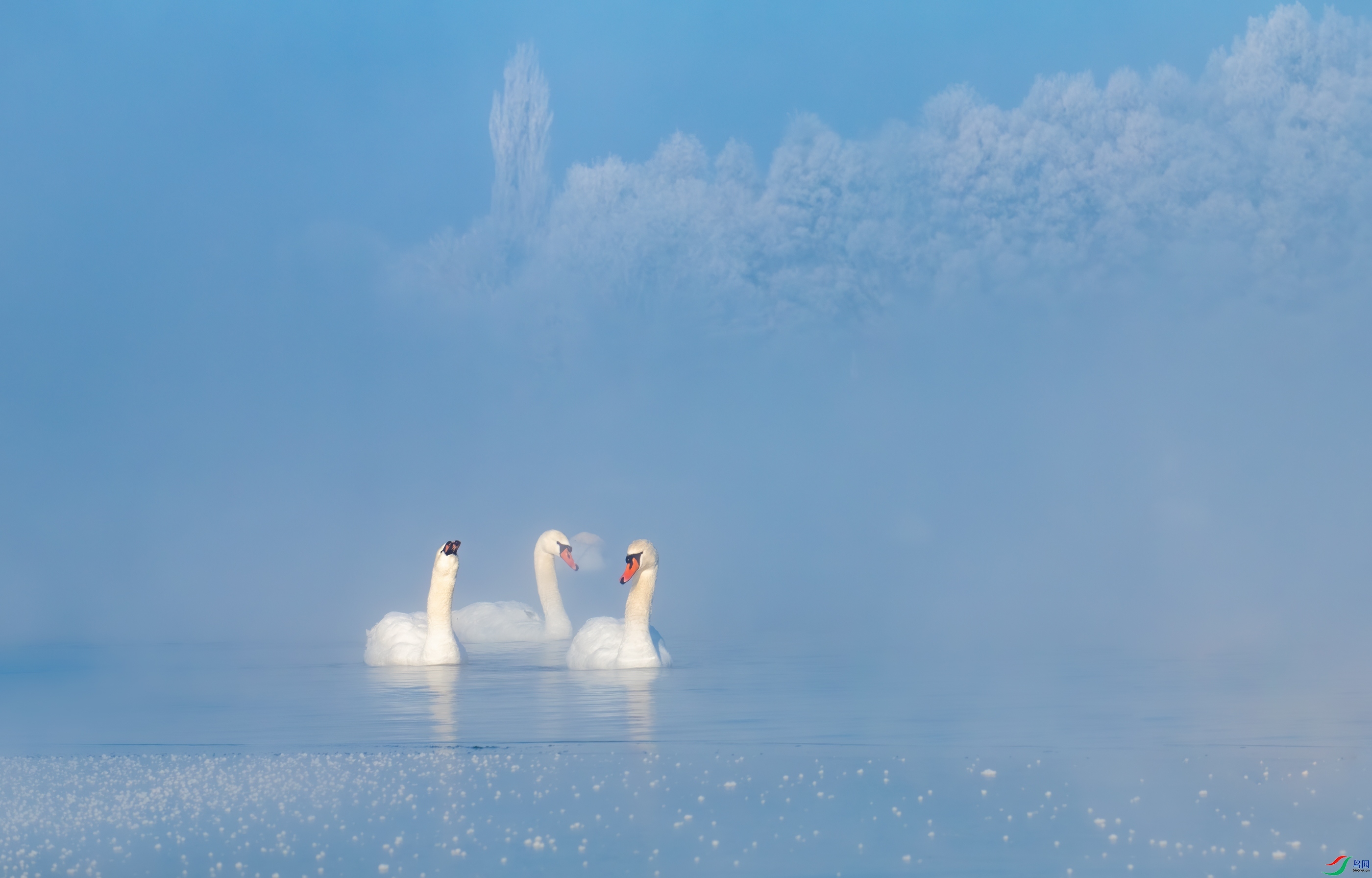 ������ ���� ��Ͽ֮�� ��һ.jpg