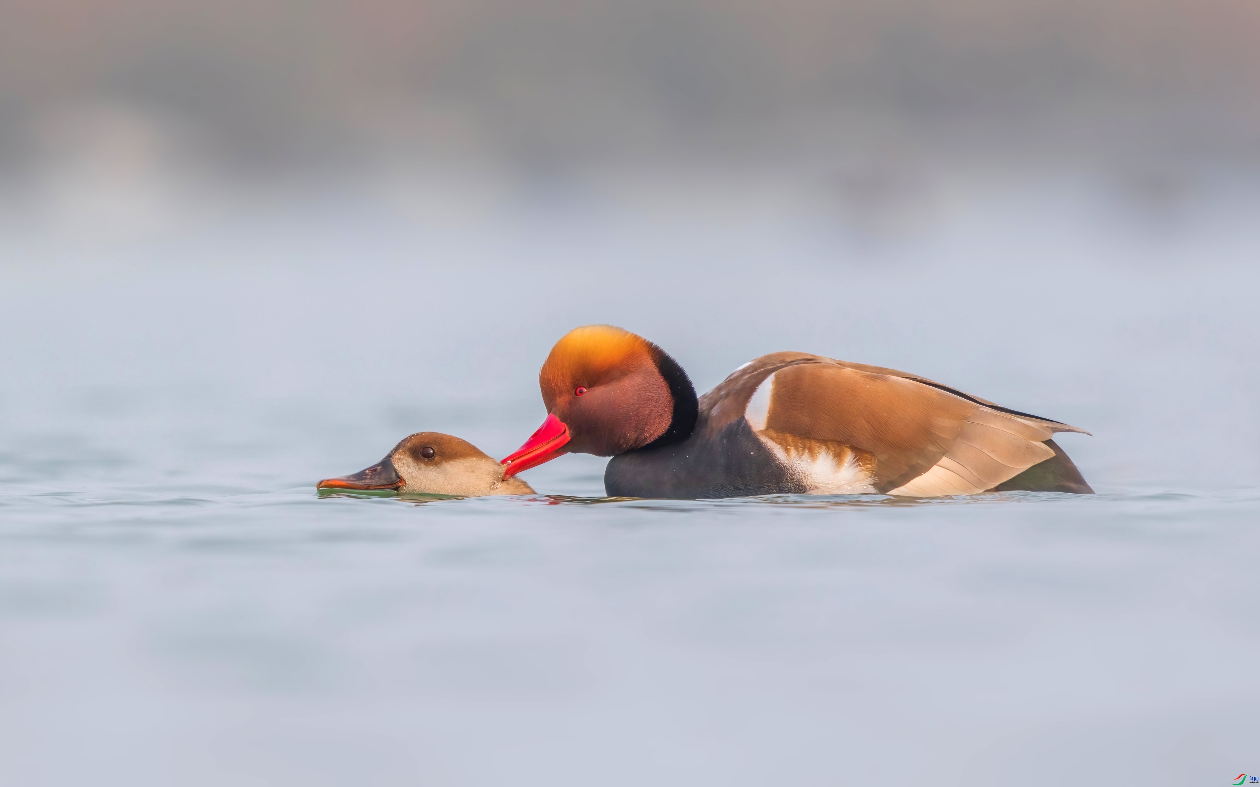 ����ʱ�� ���� �ɶ��Ͻ� ��һ.jpg