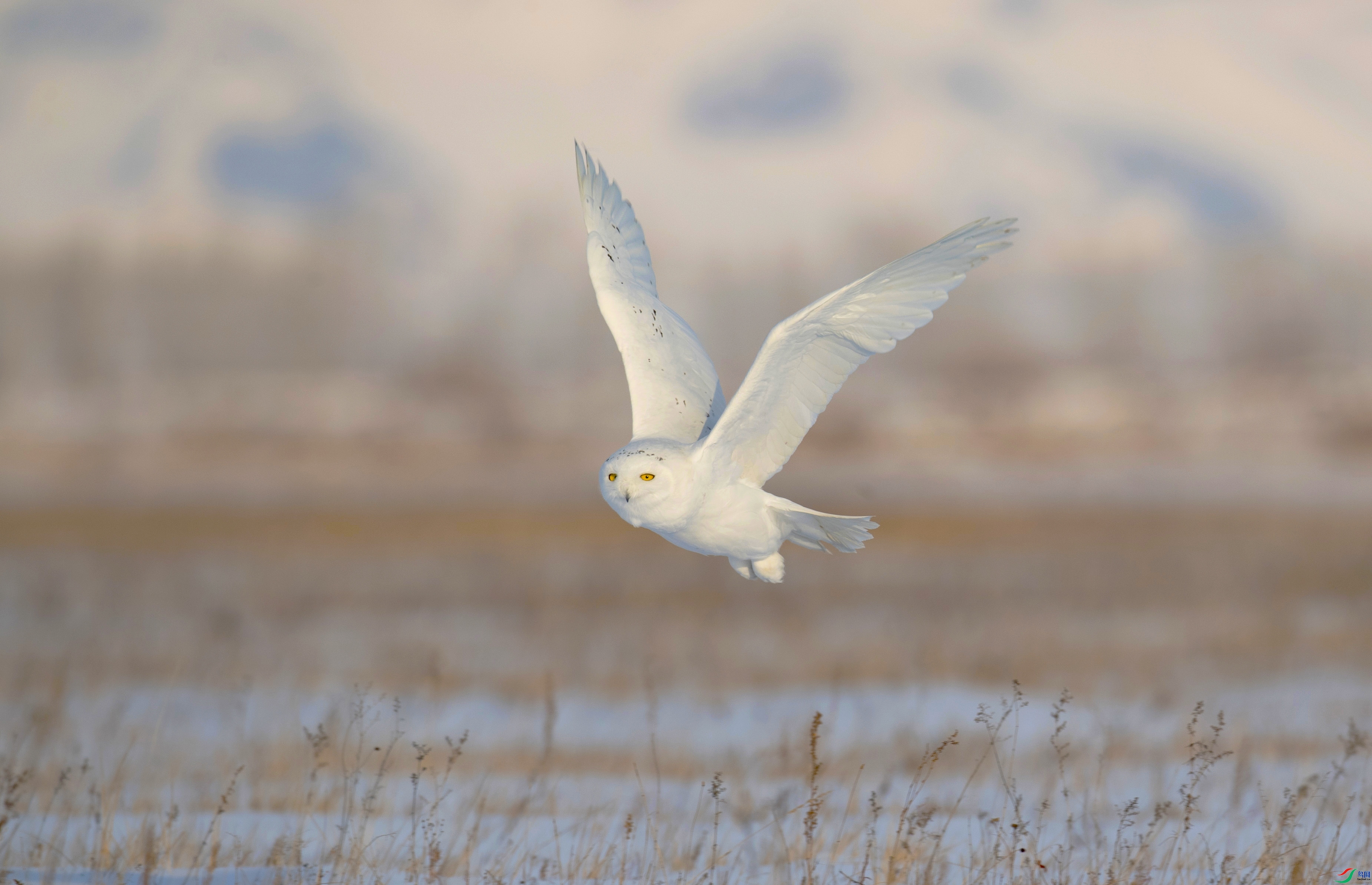 ѩ�^ ���� ����֮�� ��һ.jpg